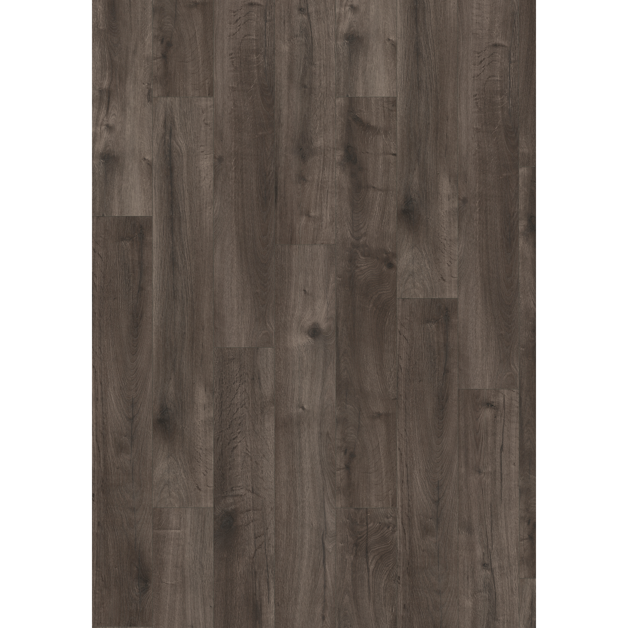 Laminat 'NatureSense Aqua' EL2078 Loja Eiche grau 8 mm