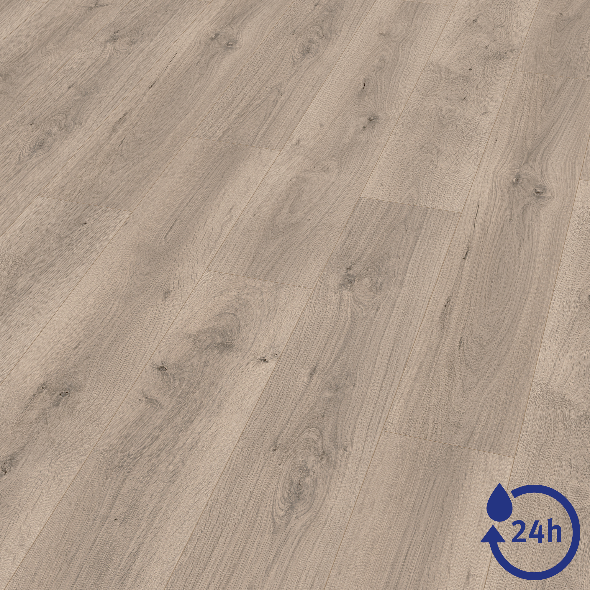 Laminat 'NatureSense Aqua' EL2112 Pinot Eiche hellgrau 8 mm