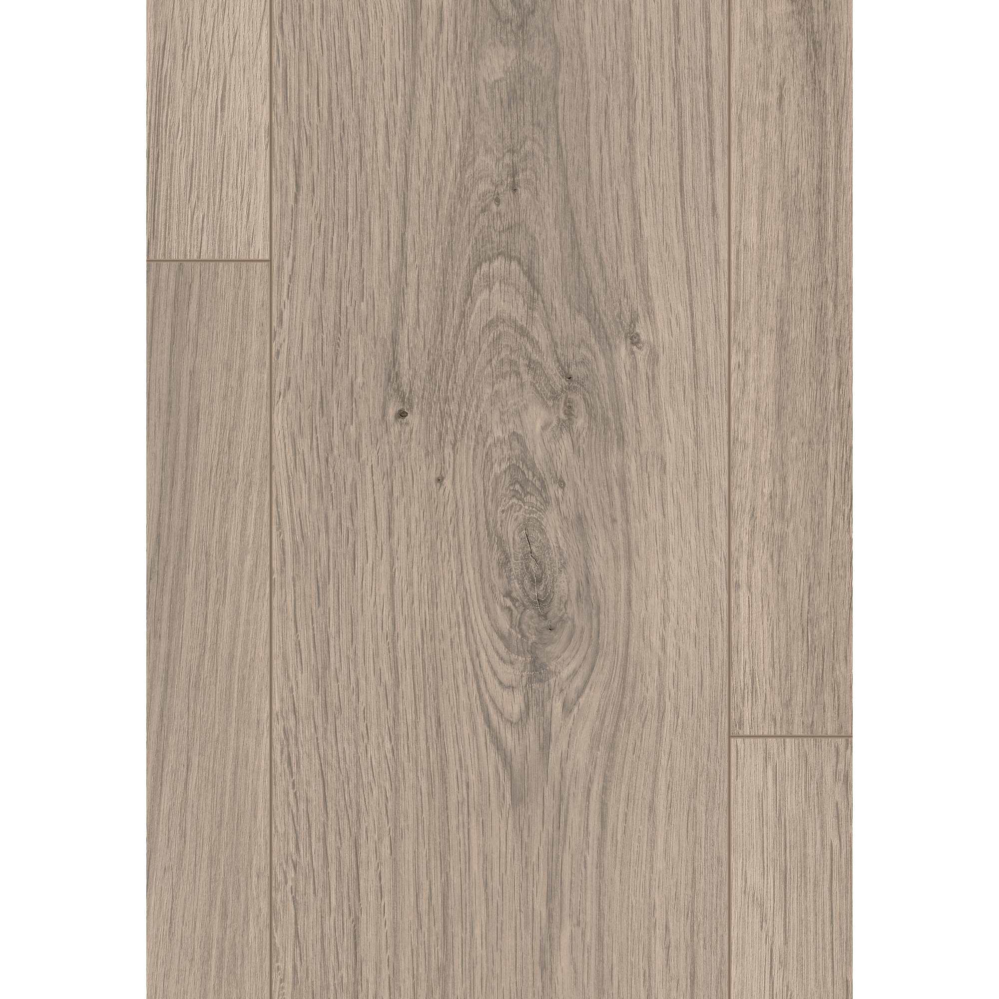 Laminat 'NatureSense Aqua' EL2112 Pinot Eiche hellgrau 8 mm