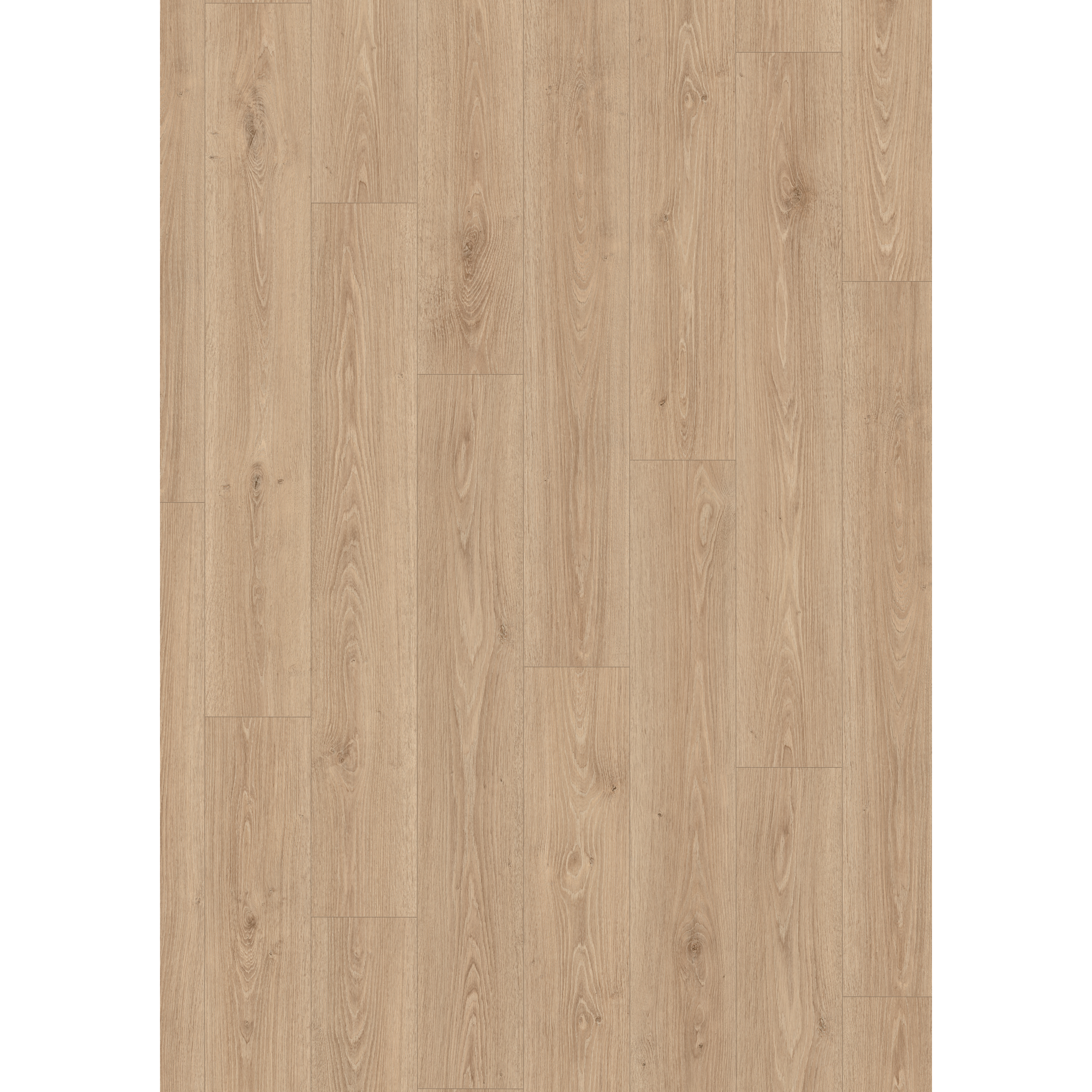 Laminat 'NatureSense Aqua' EL2183 Treviso Eiche braun 8 mm