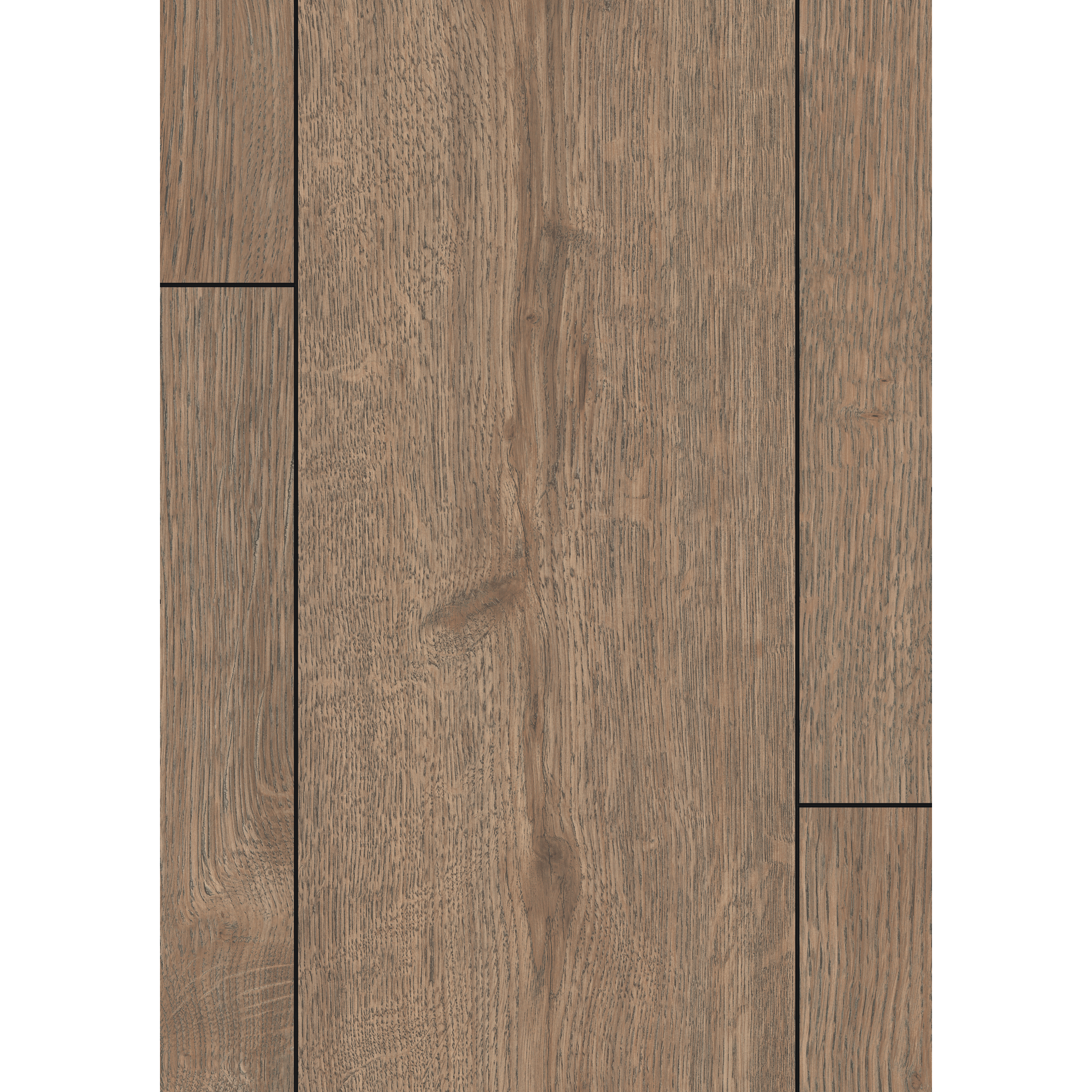 Laminat 'NatureSense Aqua' EL2191 Turin Eiche braun 8 mm