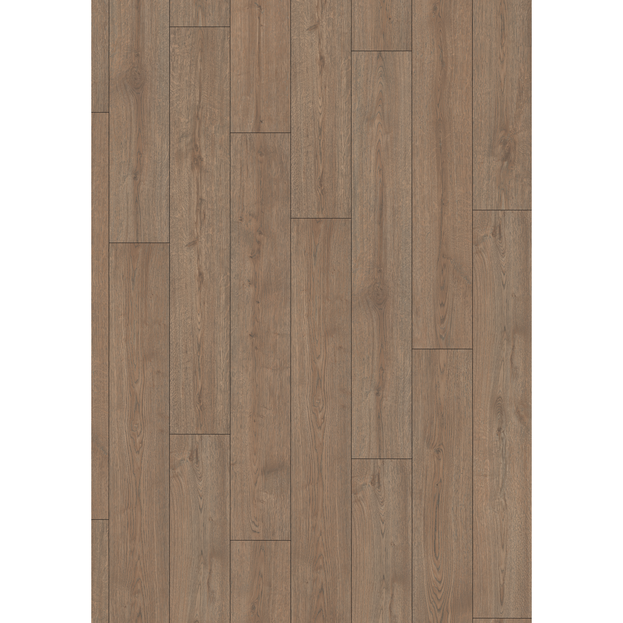 Laminat 'NatureSense Aqua' EL2191 Turin Eiche braun 8 mm