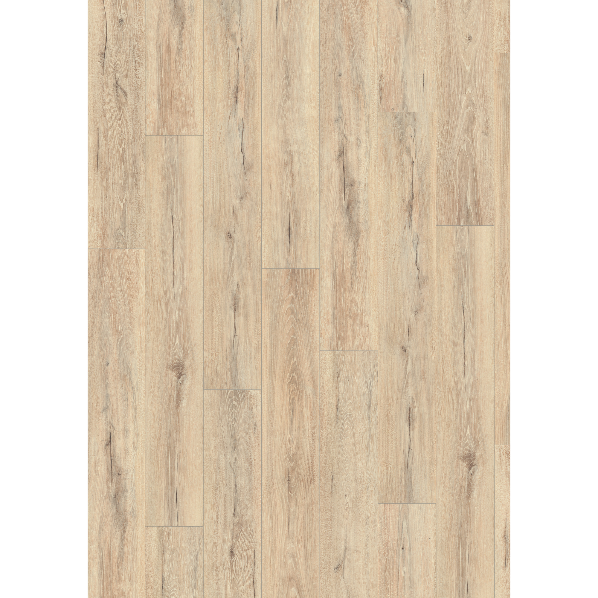 Laminat 'NatureSense Aqua' EL2416 Melba Eiche beige 8 mm