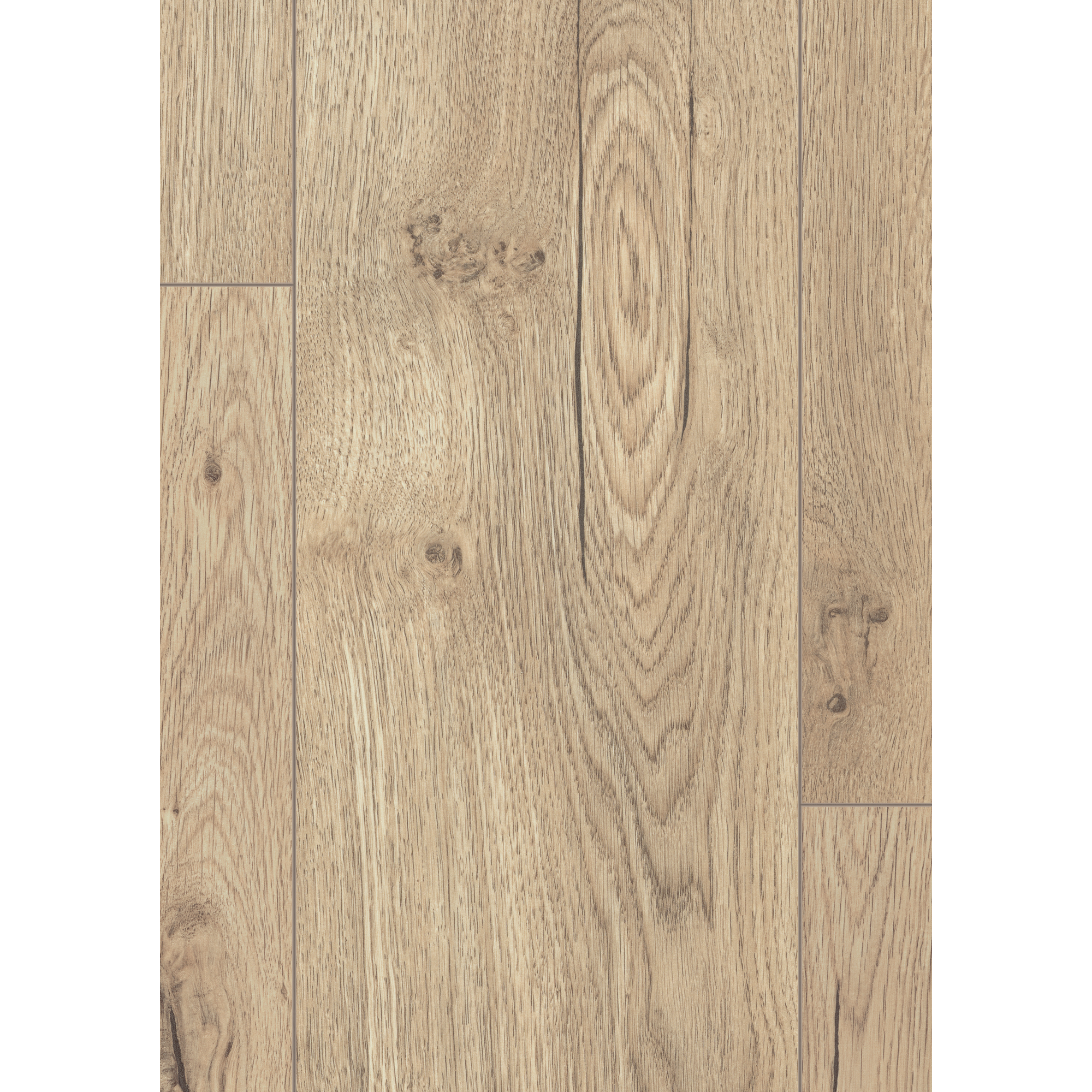Laminat 'NatureSense Aqua' EL2855 Olchon Eiche sandbeige 8 mm