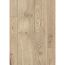 Laminat 'NatureSense Aqua' EL2855 Olchon Eiche sandbeige 8 mm