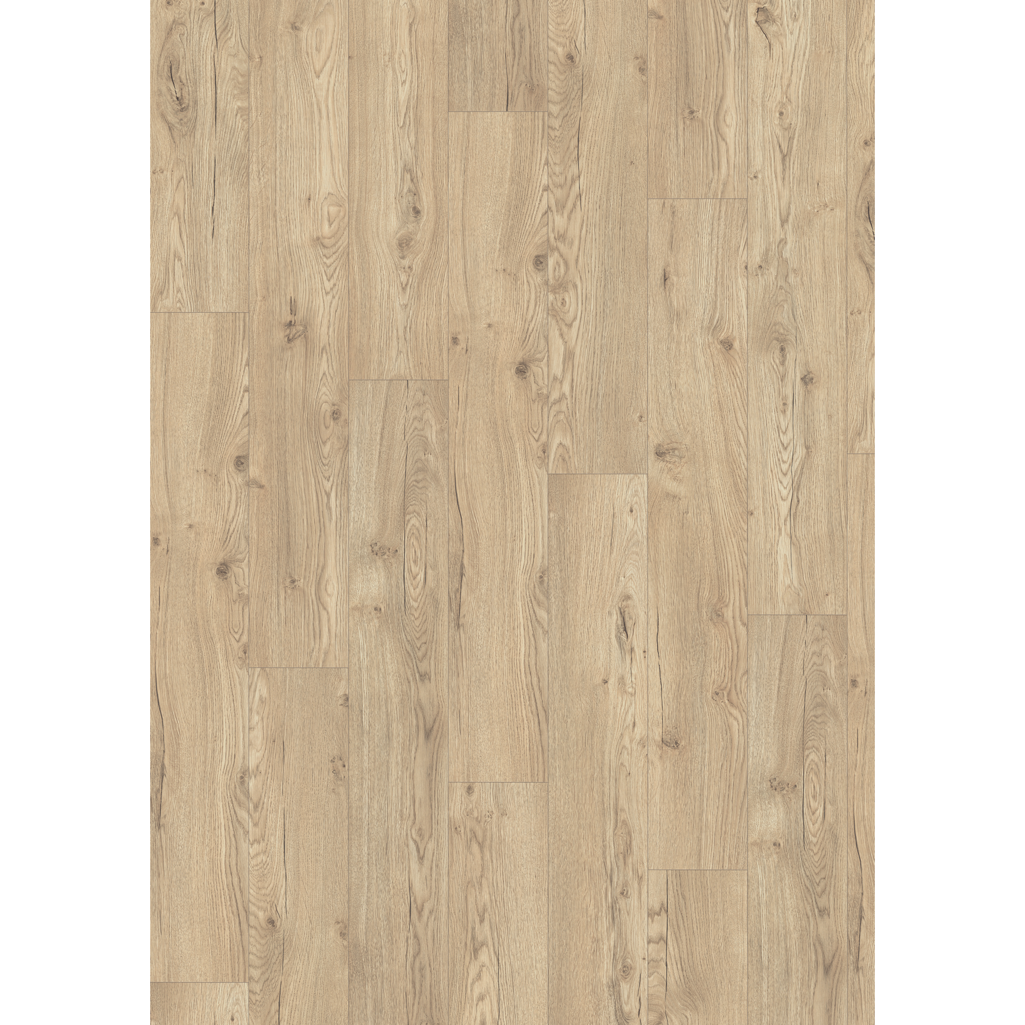 Laminat 'NatureSense Aqua' EL2855 Olchon Eiche sandbeige 8 mm