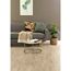 Laminat 'NatureSense Aqua' EL2855 Olchon Eiche sandbeige 8 mm