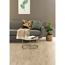 Laminat 'NatureSense Aqua' EL2855 Olchon Eiche sandbeige 8 mm