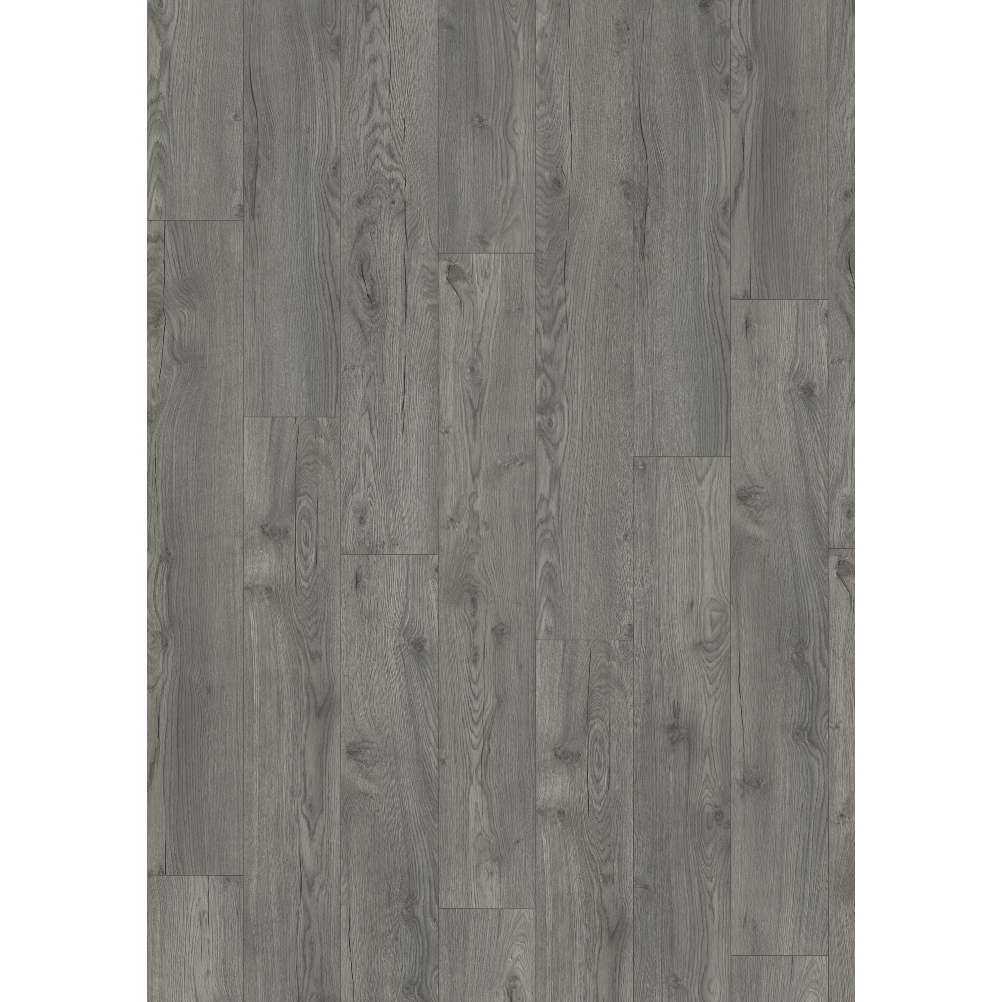 Laminat 'NatureSense Aqua' EL1028 Avery Eiche grau 10 mm