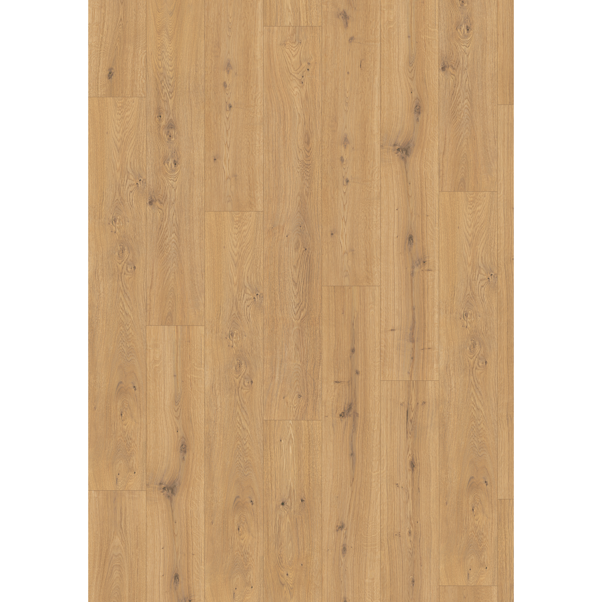 Laminat 'NatureSense Aqua' EL2009 Predaia Eiche honig 10 mm