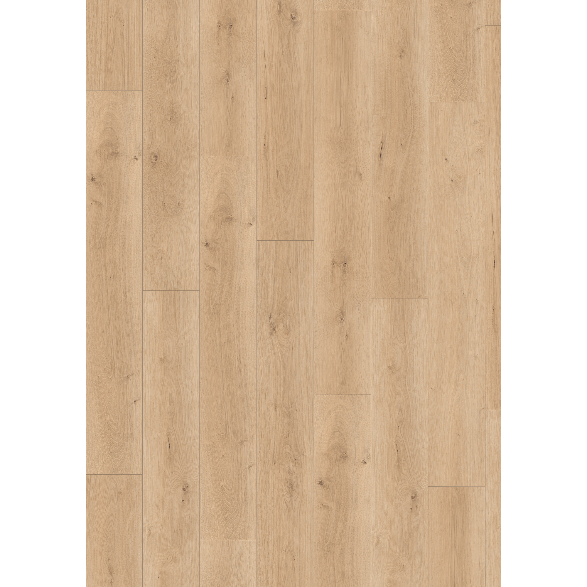 Laminat 'NatureSense Aqua' EL2113 Pinot Eiche sand 10 mm