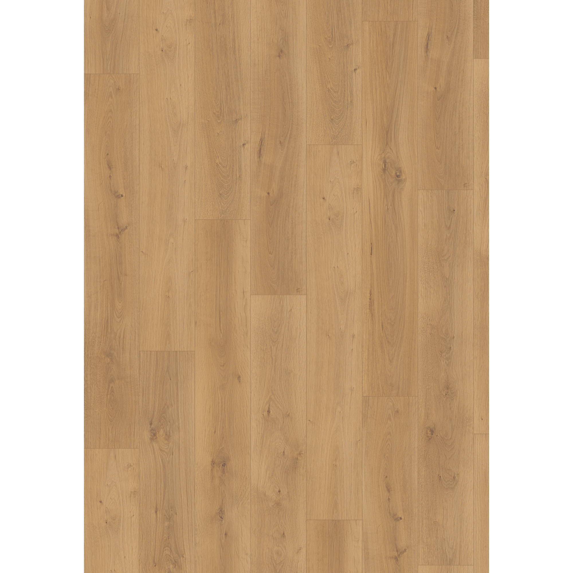 Laminat 'NatureSense Aqua' EL2114 Pinot Eiche honig 10 mm