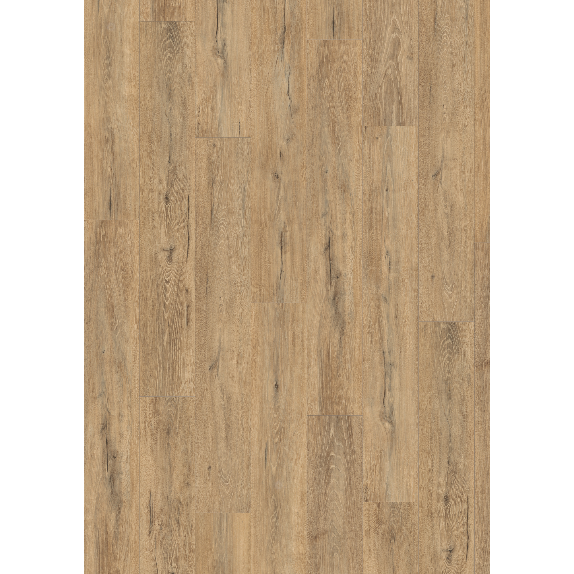 Laminat 'NatureSense Aqua' EL2417 Melba Eiche natur 10 mm