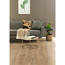 Laminat 'NatureSense Aqua' EL2417 Melba Eiche natur 10 mm