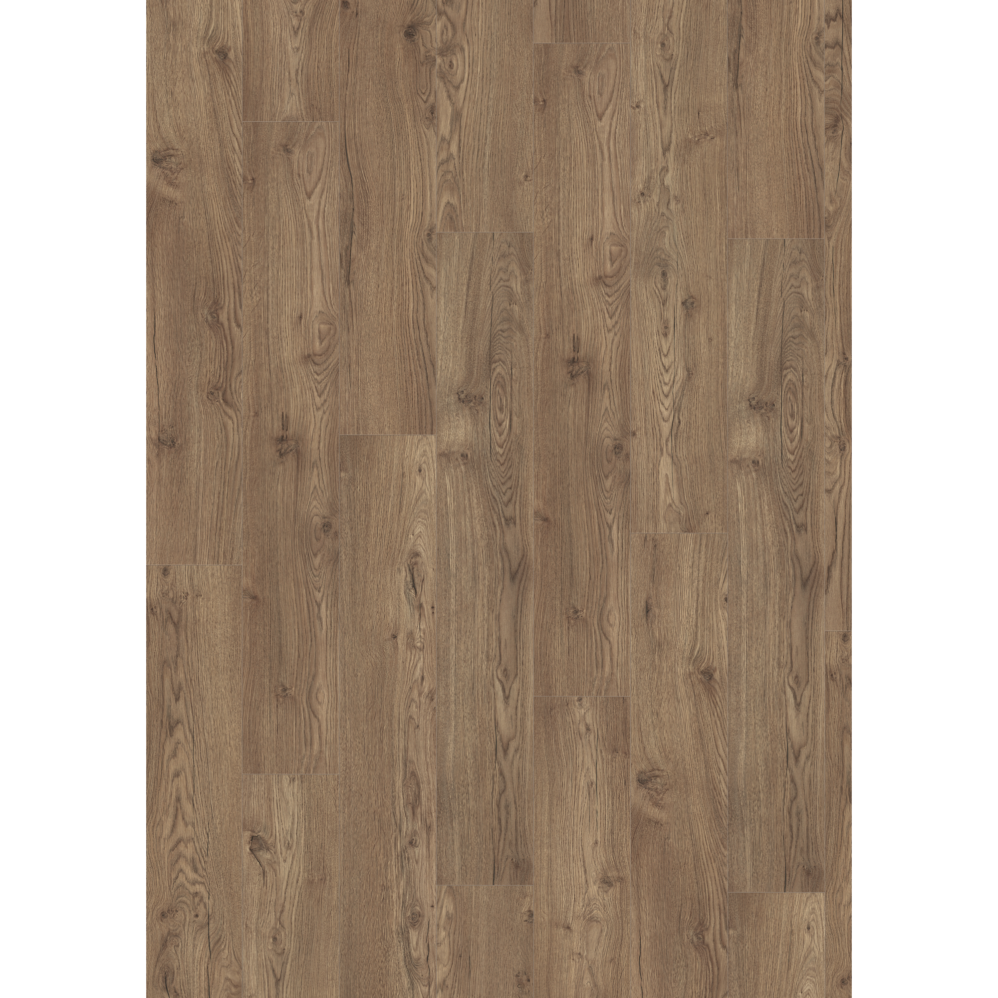 Laminat 'NatureSense Aqua' EL2858 Olchon Eiche rauch 10 mm