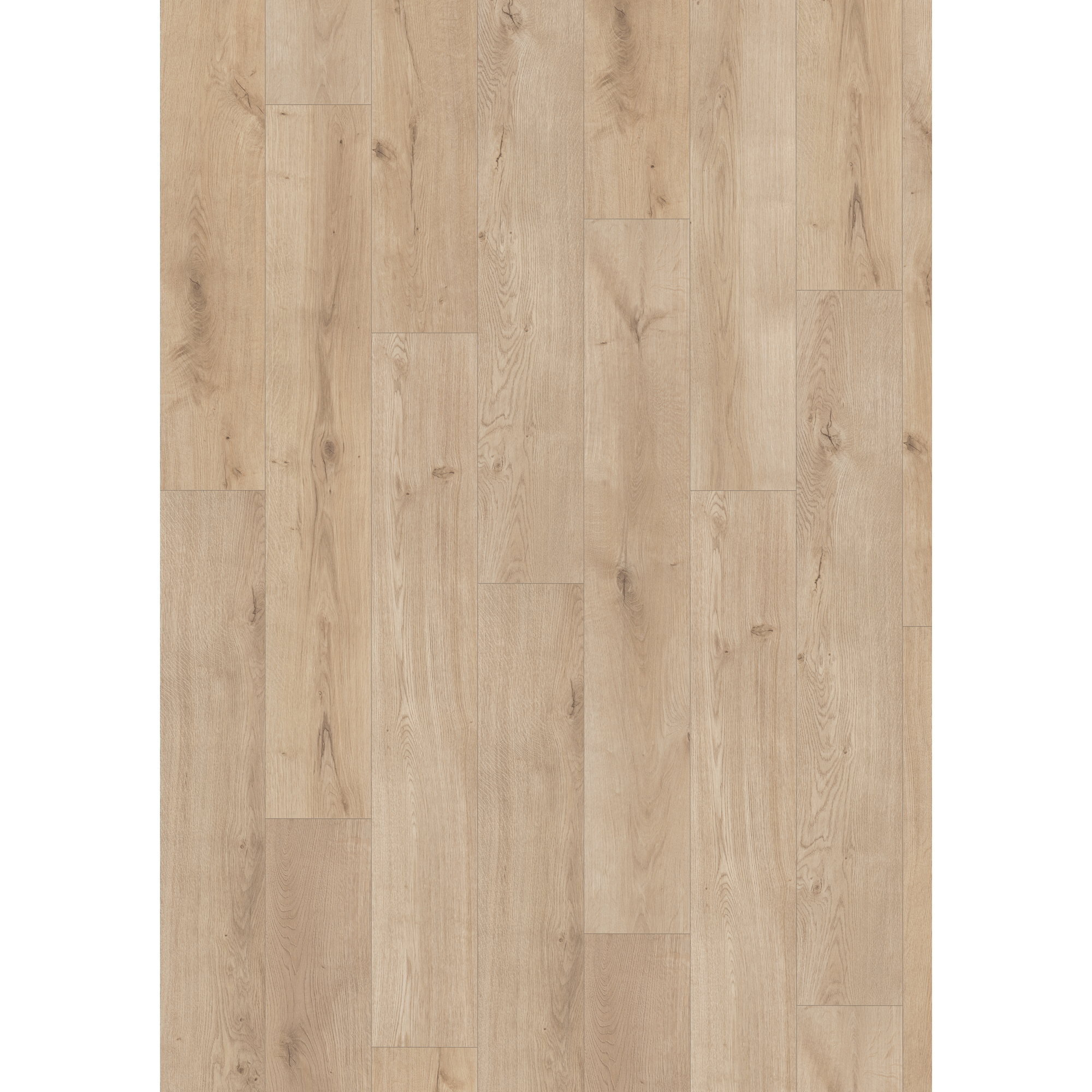 Laminat 'NatureSense Aqua' EL2952 Lausanne Eiche hell 10 mm