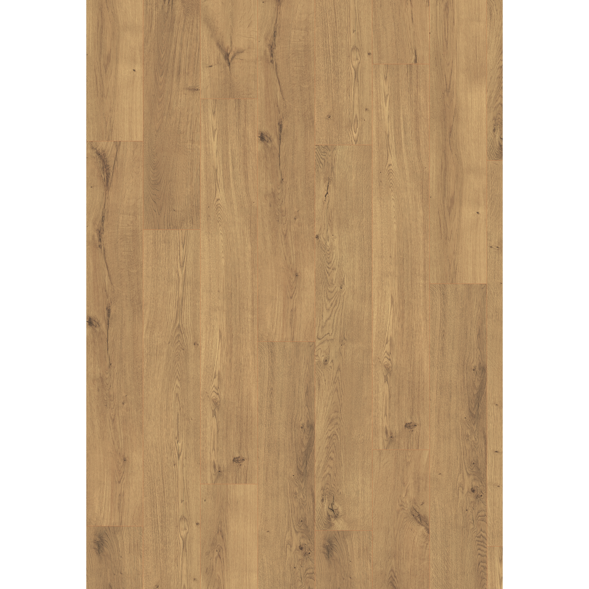 Laminat 'NatureSense Aqua' EL2953 Lausanne Eiche natur 10 mm
