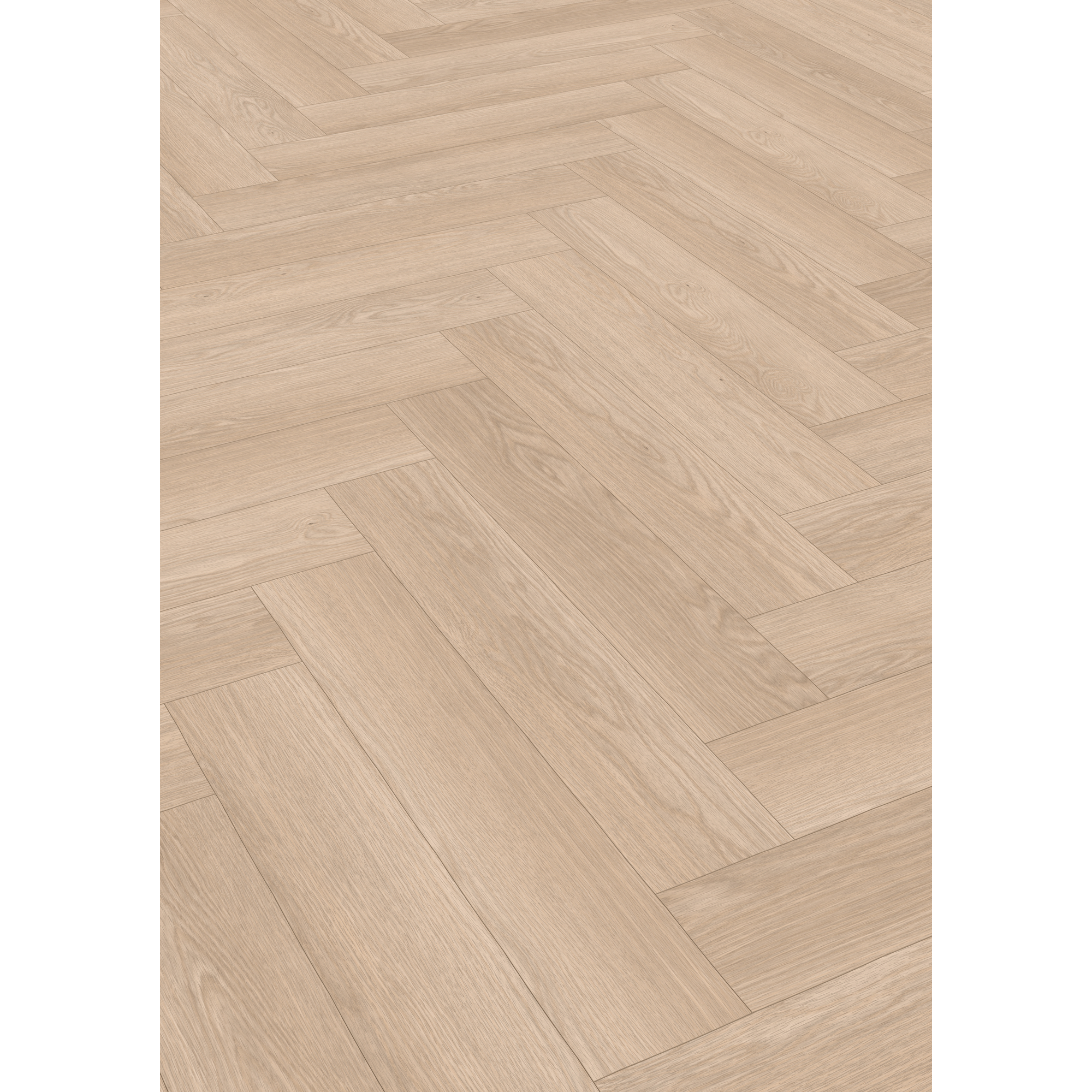 Laminat 'Nature Herringbone' EL2132 Baronia Eiche hell 8 mm