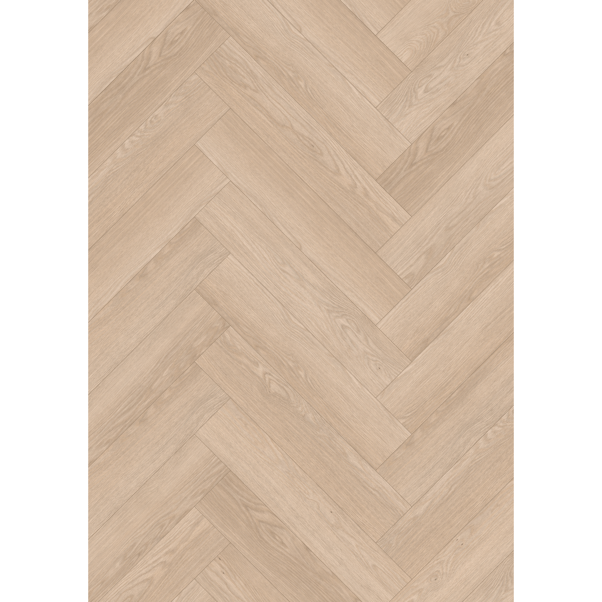 Laminat 'Nature Herringbone' EL2132 Baronia Eiche hell 8 mm