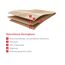 Laminat 'Nature Herringbone' EL2132 Baronia Eiche hell 8 mm