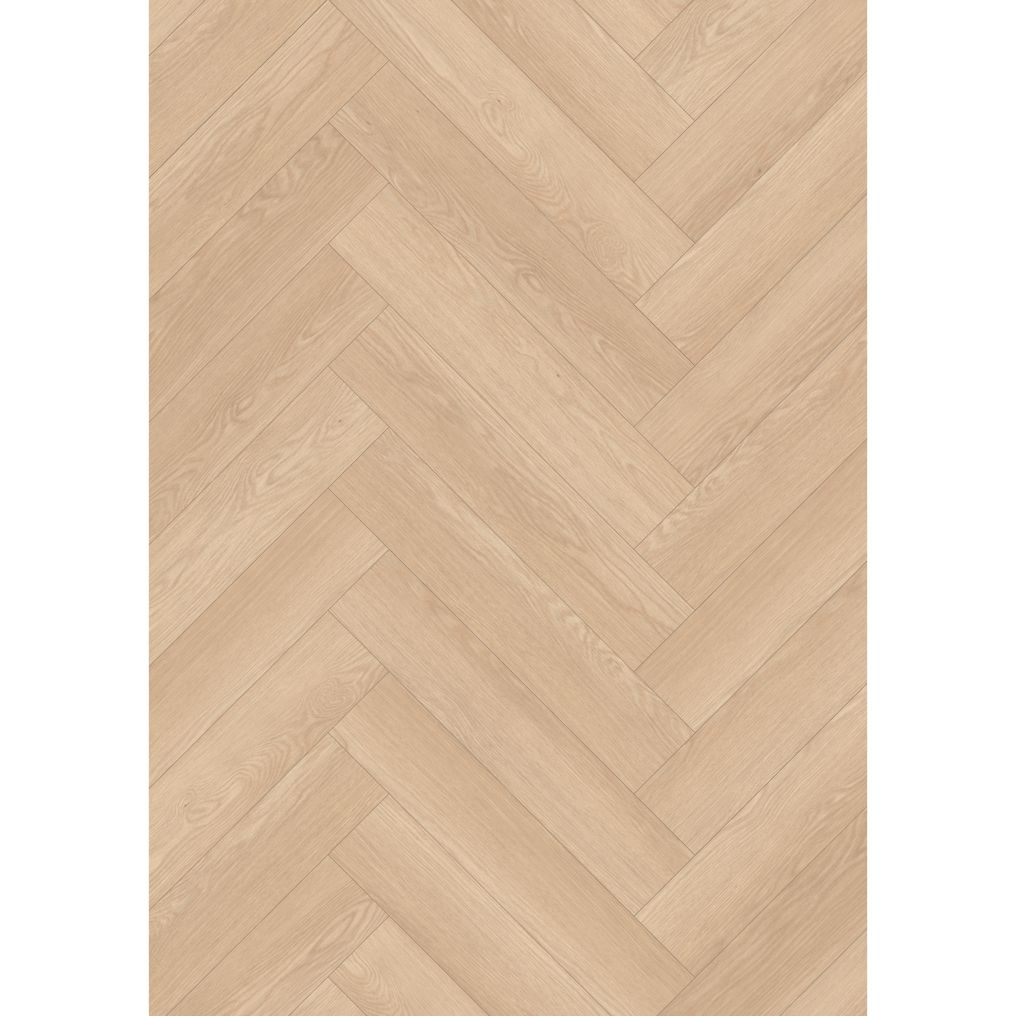Laminat 'Nature Herringbone' EL2133 Baronia Eiche sand 8 mm