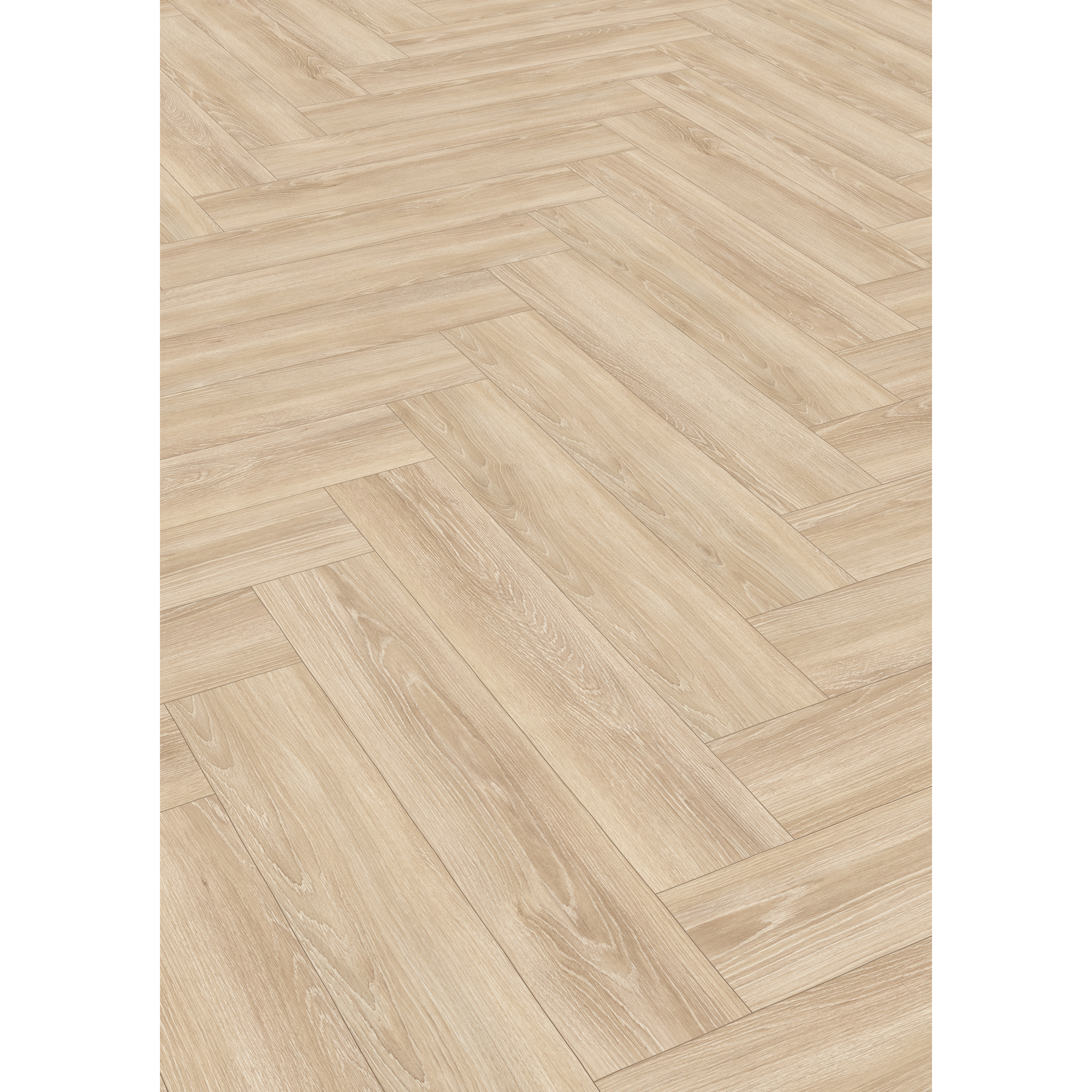 Laminat 'Nature Herringbone' EL2161 Newport Eiche creme 8 mm