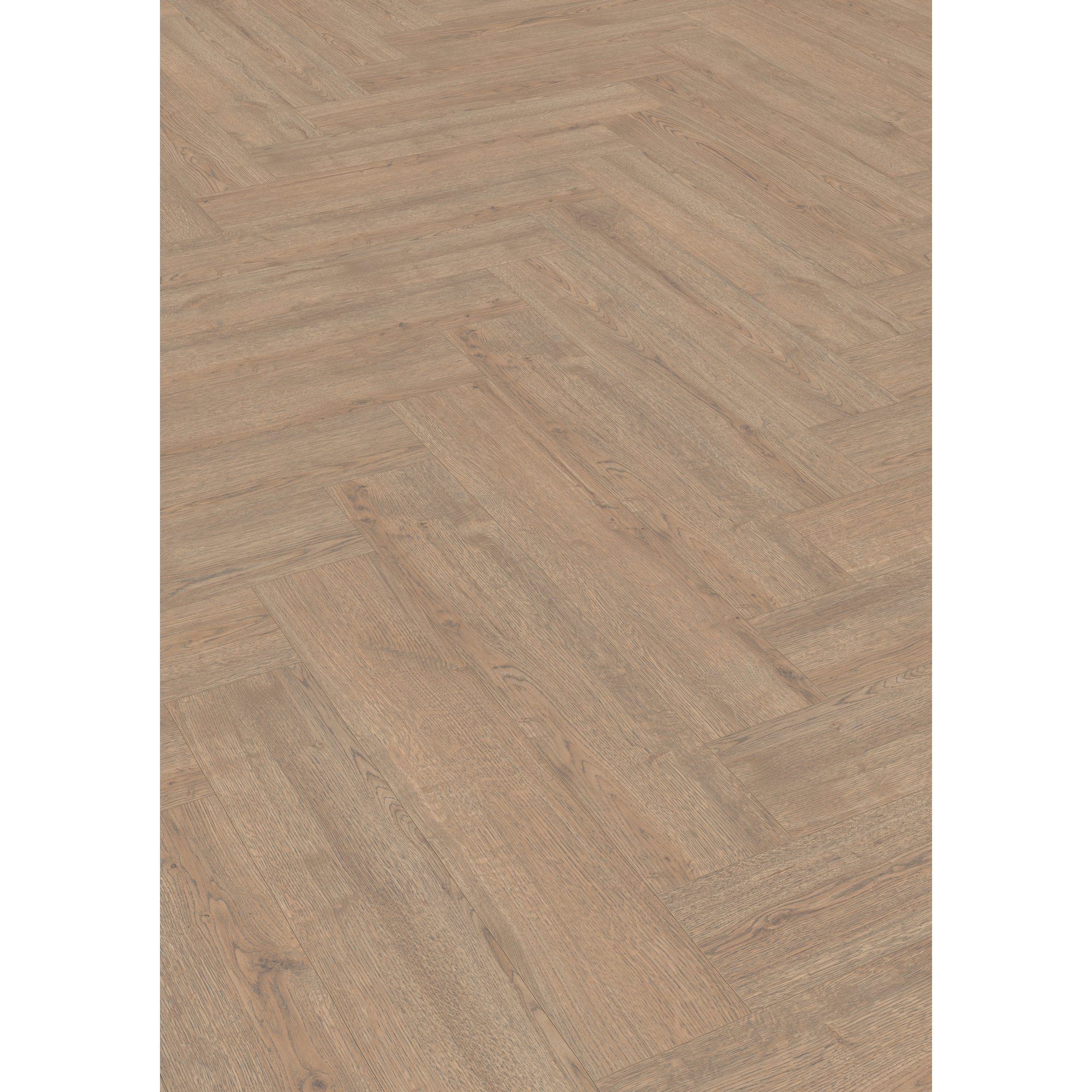 Laminat 'Nature Herringbone' EL2190 Turin Eiche 8 mm