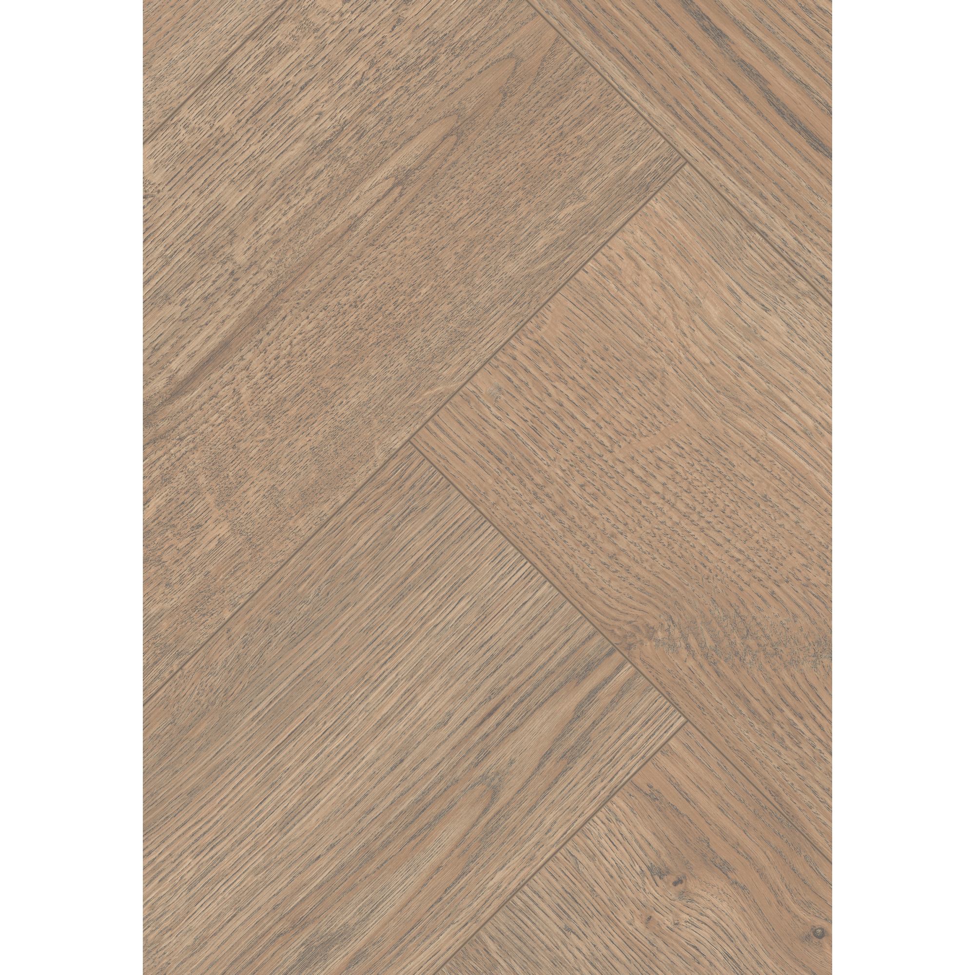 Laminat 'Nature Herringbone' EL2190 Turin Eiche 8 mm