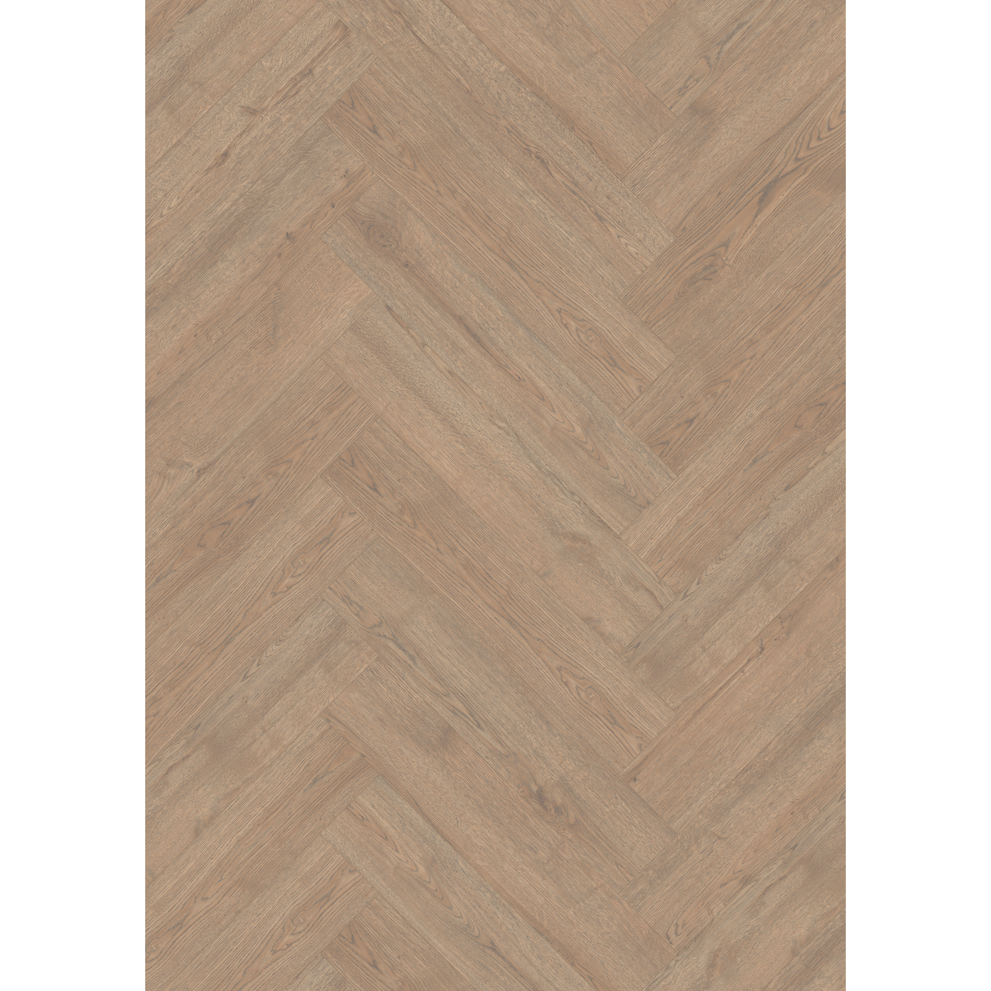 Laminat 'Nature Herringbone' EL2190 Turin Eiche 8 mm
