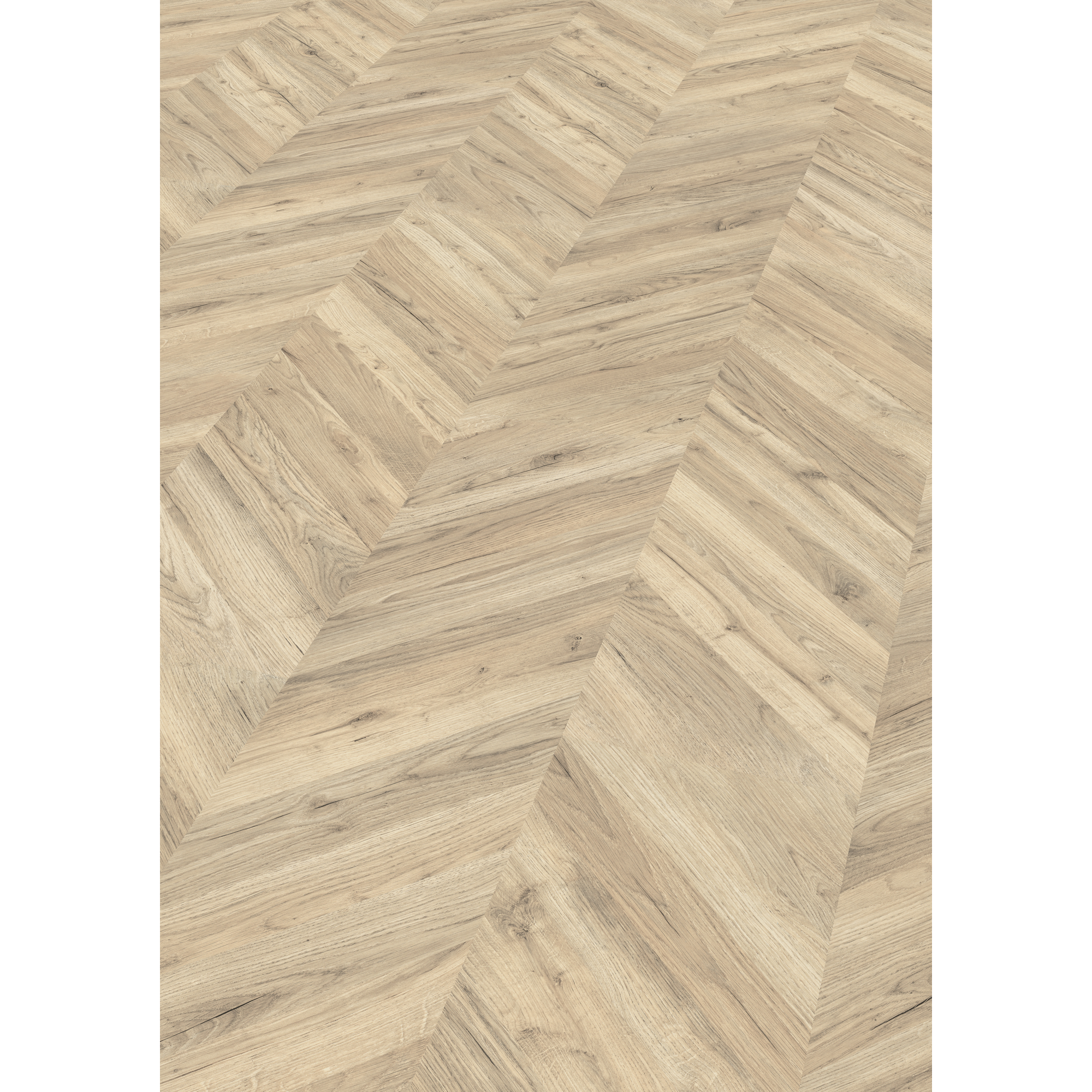 Laminat 'NatureSense' EL202F Rillington Eiche hell 8 mm