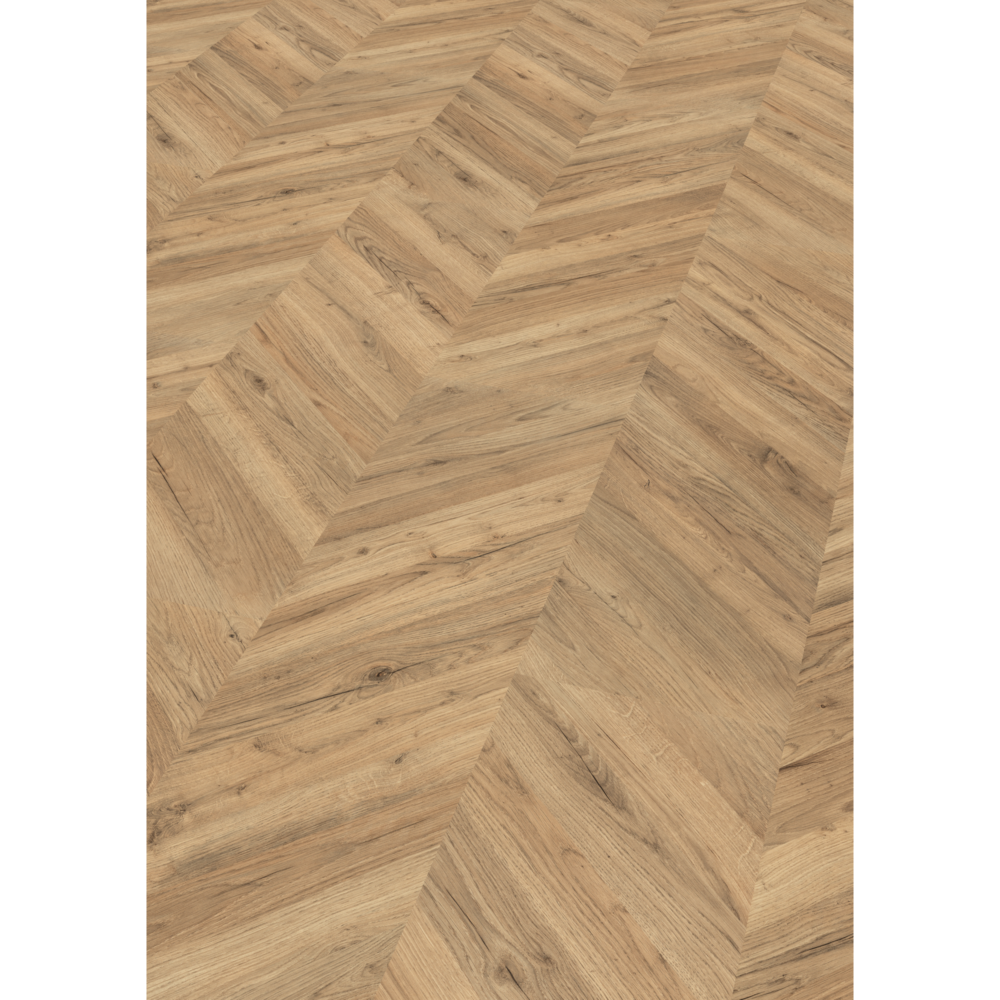 Laminat 'NatureSense' EL203F Rillington Eiche dunkel 8 mm