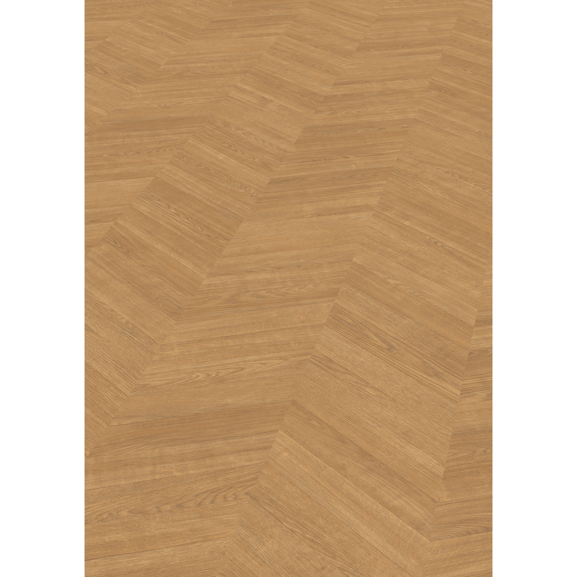 Laminat 'NatureSense' EL291F Skanderborg Eiche honig 8 mm