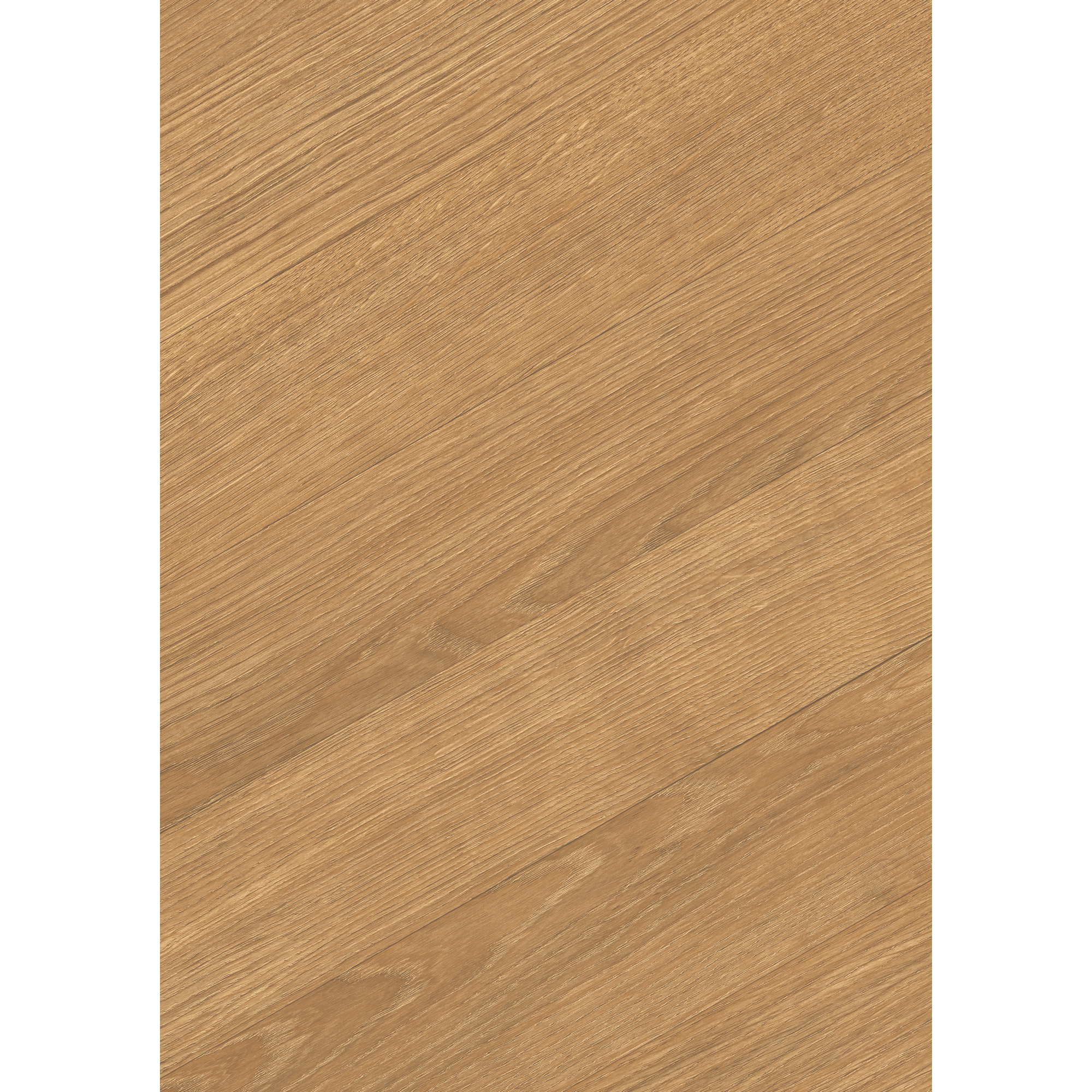 Laminat 'NatureSense' EL291F Skanderborg Eiche honig 8 mm