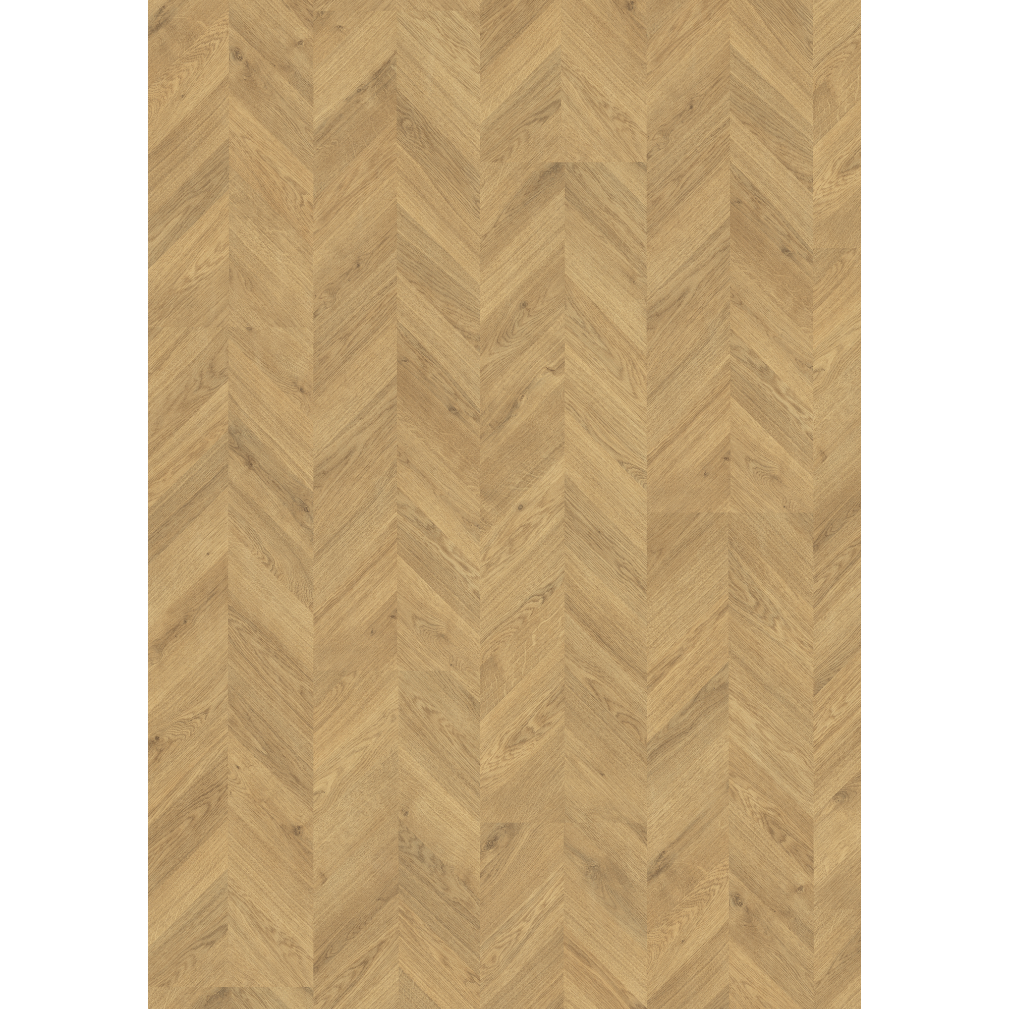 Laminat 'NatureSense' EL2923 Weinburg Eiche hell 8 mm