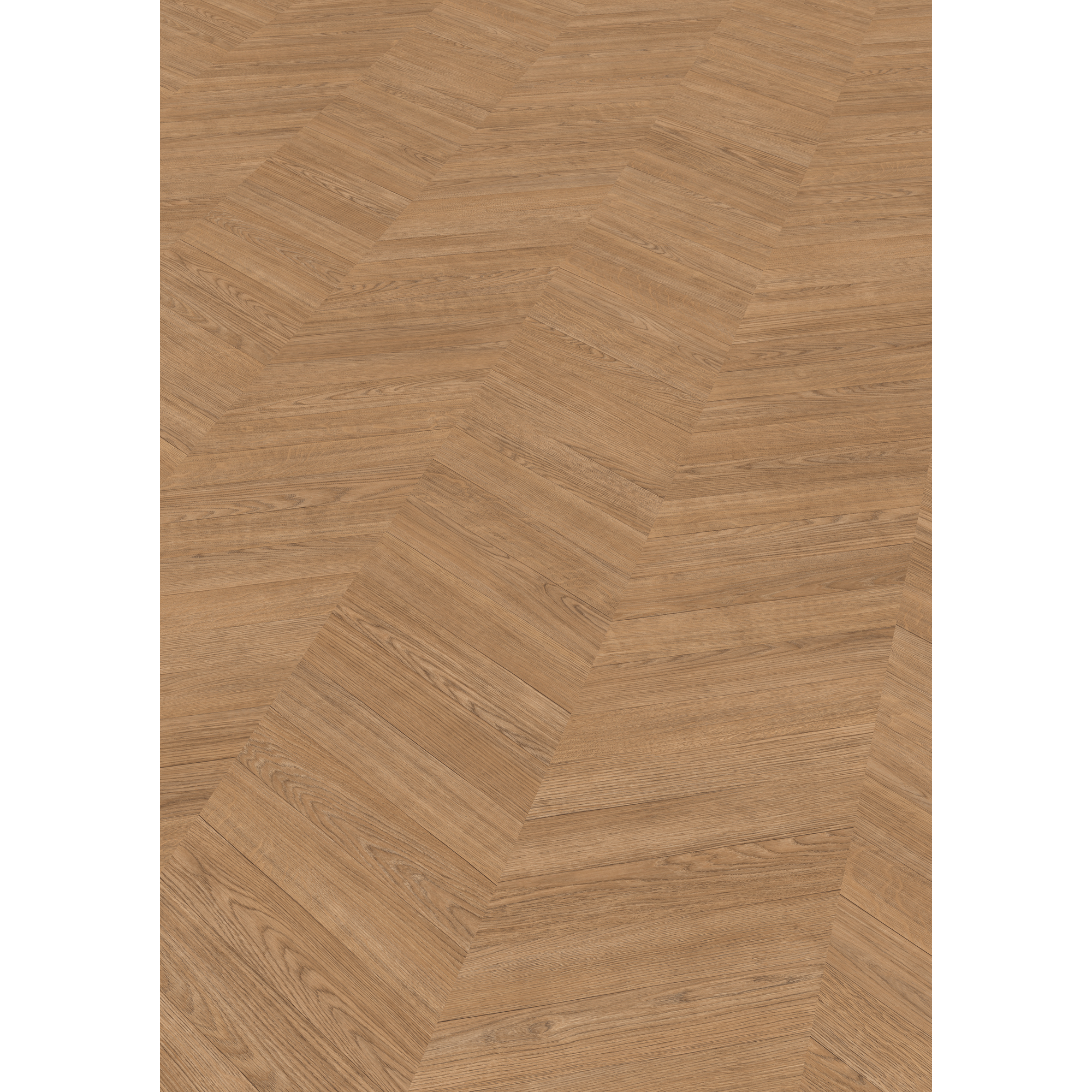 Laminat 'NatureSense' EL292F Skanderborg Eiche braun 8 mm