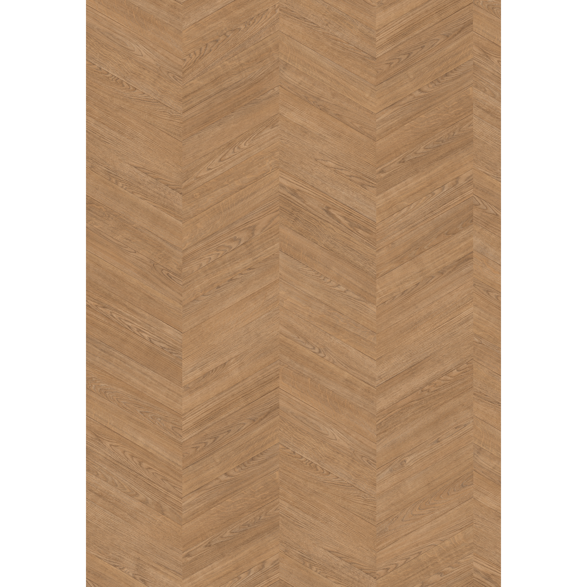 Laminat 'NatureSense' EL292F Skanderborg Eiche braun 8 mm