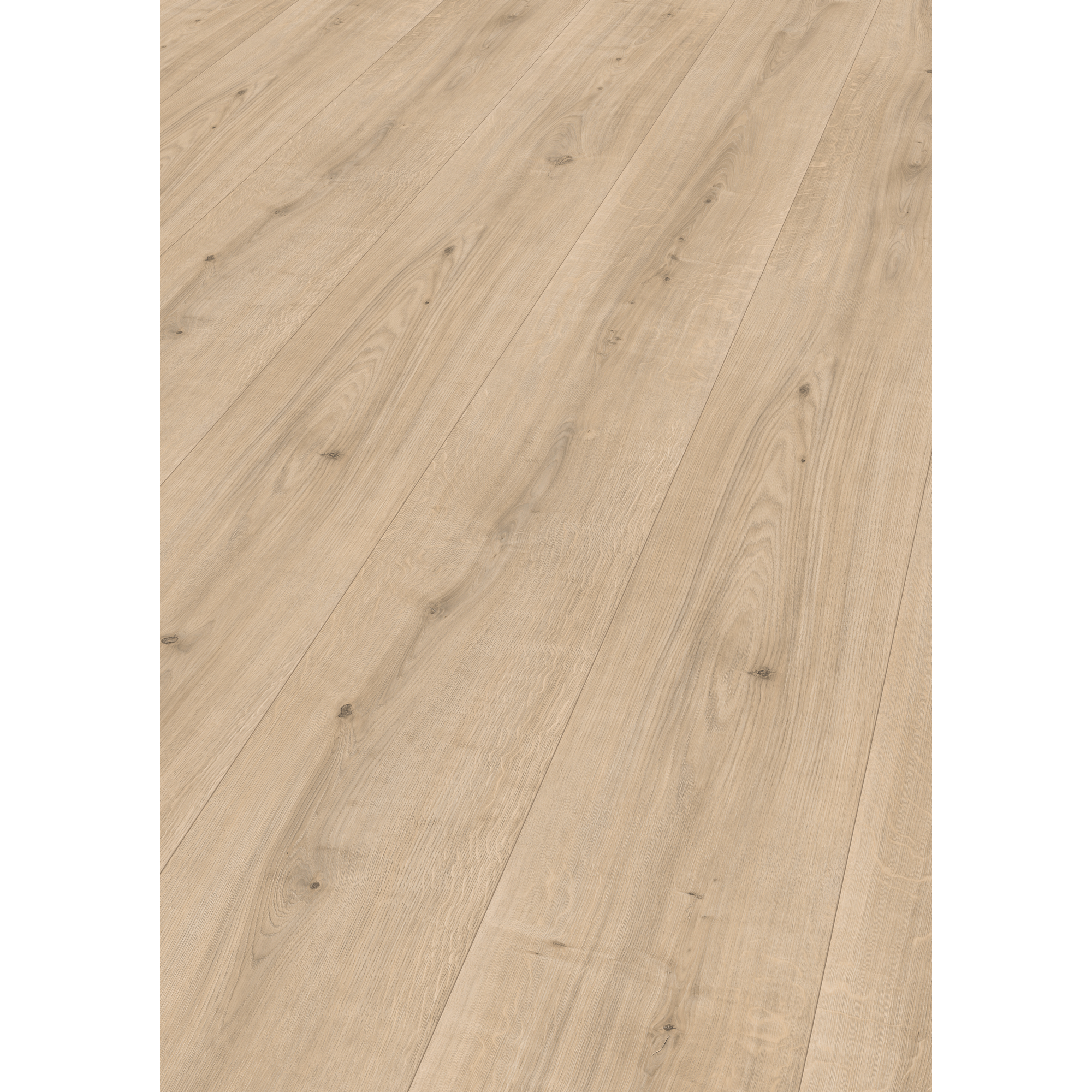 Laminat 'NatureSense' EL2092 Ortega Eiche natur 8 mm