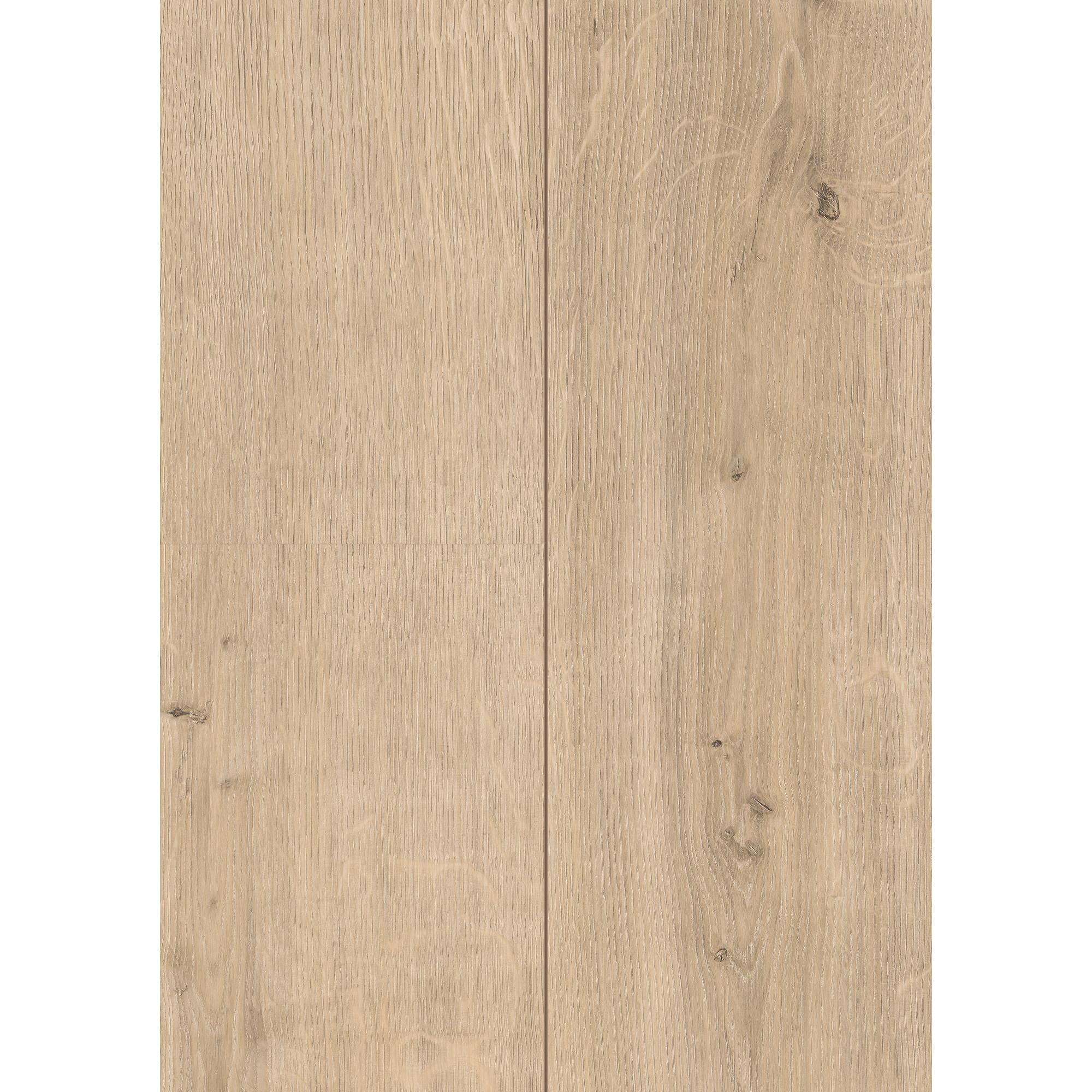 Laminat 'NatureSense' EL2092 Ortega Eiche natur 8 mm