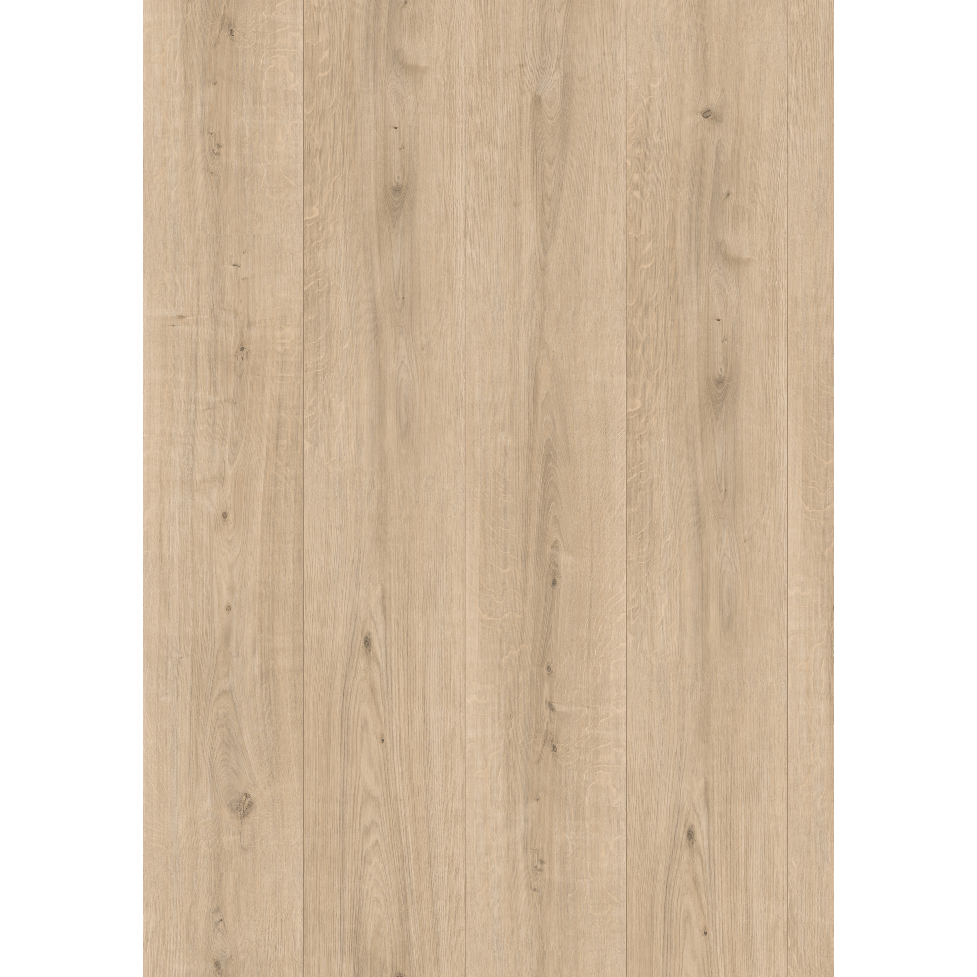 Laminat 'NatureSense' EL2092 Ortega Eiche natur 8 mm
