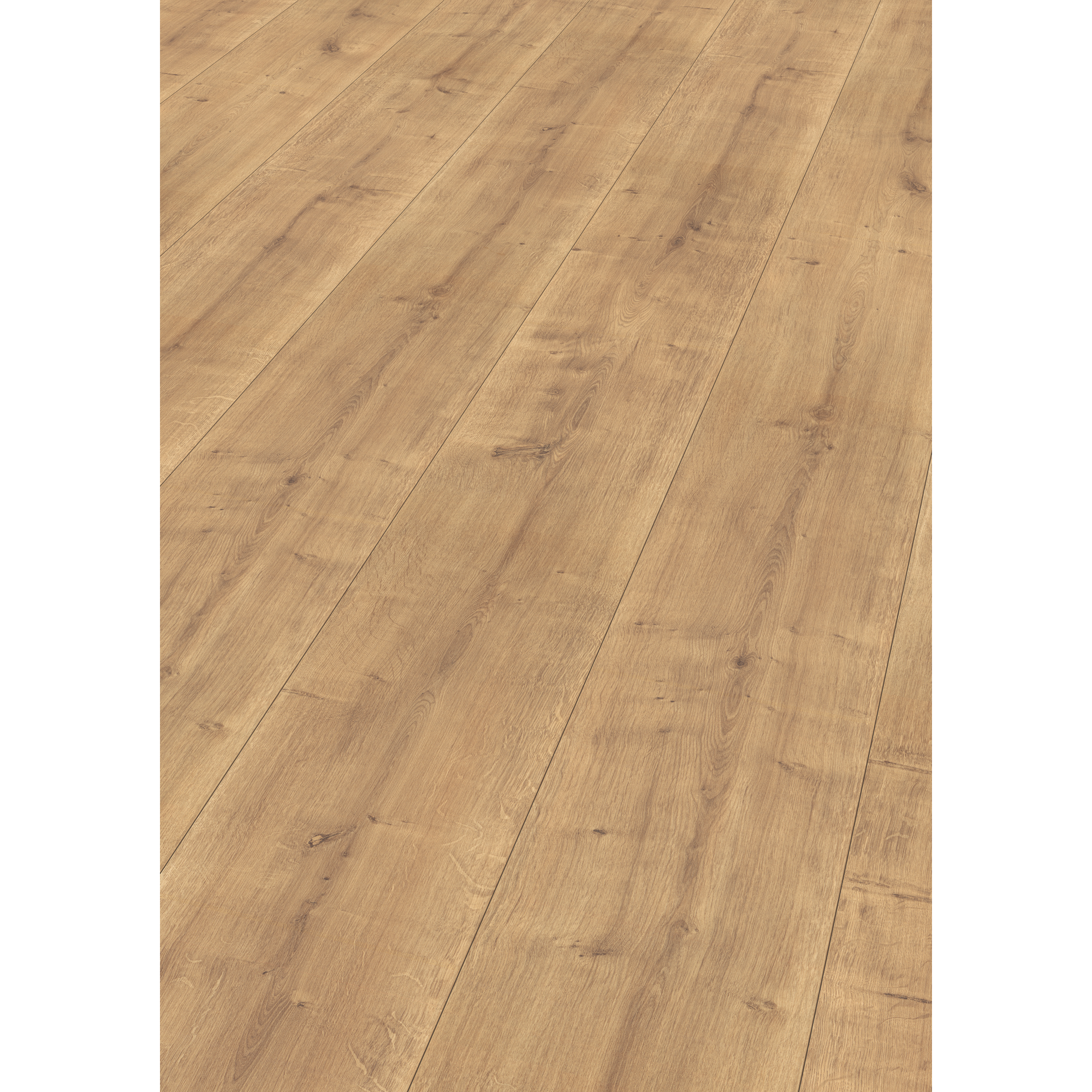 Laminat 'NatureSense' EL2733 Hamilton Eiche 8 mm