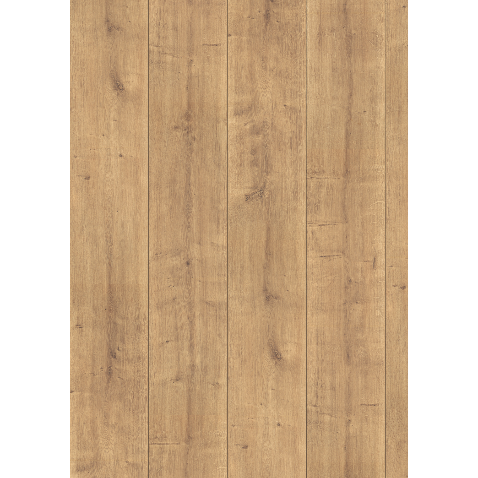 Laminat 'NatureSense' EL2733 Hamilton Eiche 8 mm