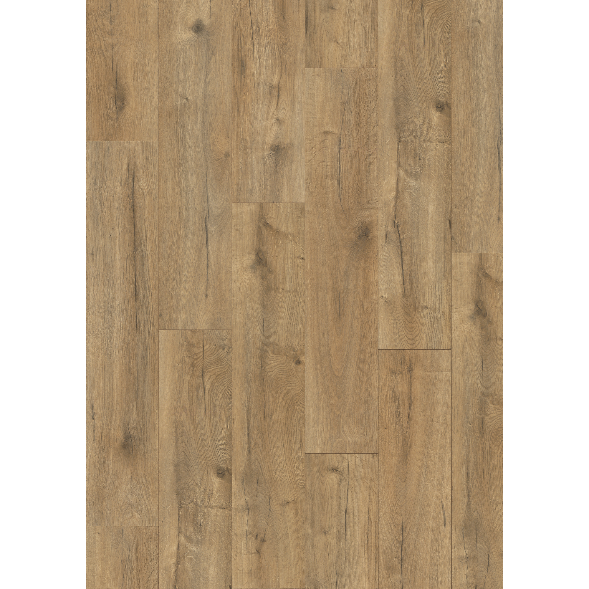 Laminat 'NatureSense' EL2077 Loja Eiche braun 8 mm