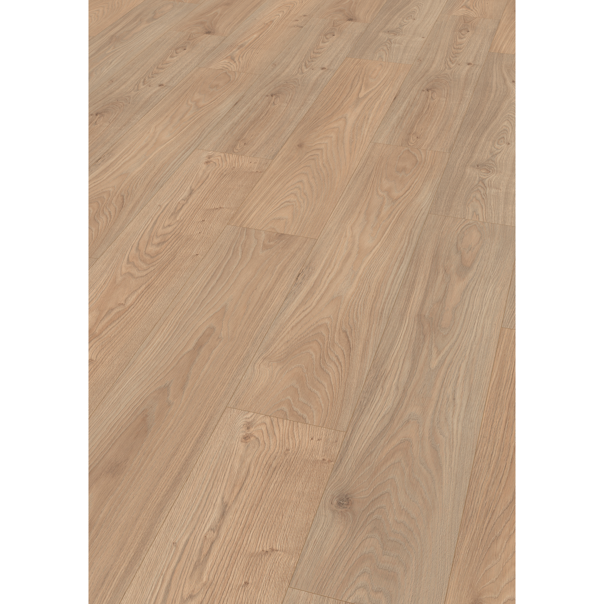 Laminat 'NatureSense' EL2091 Conway Eiche natur 8 mm