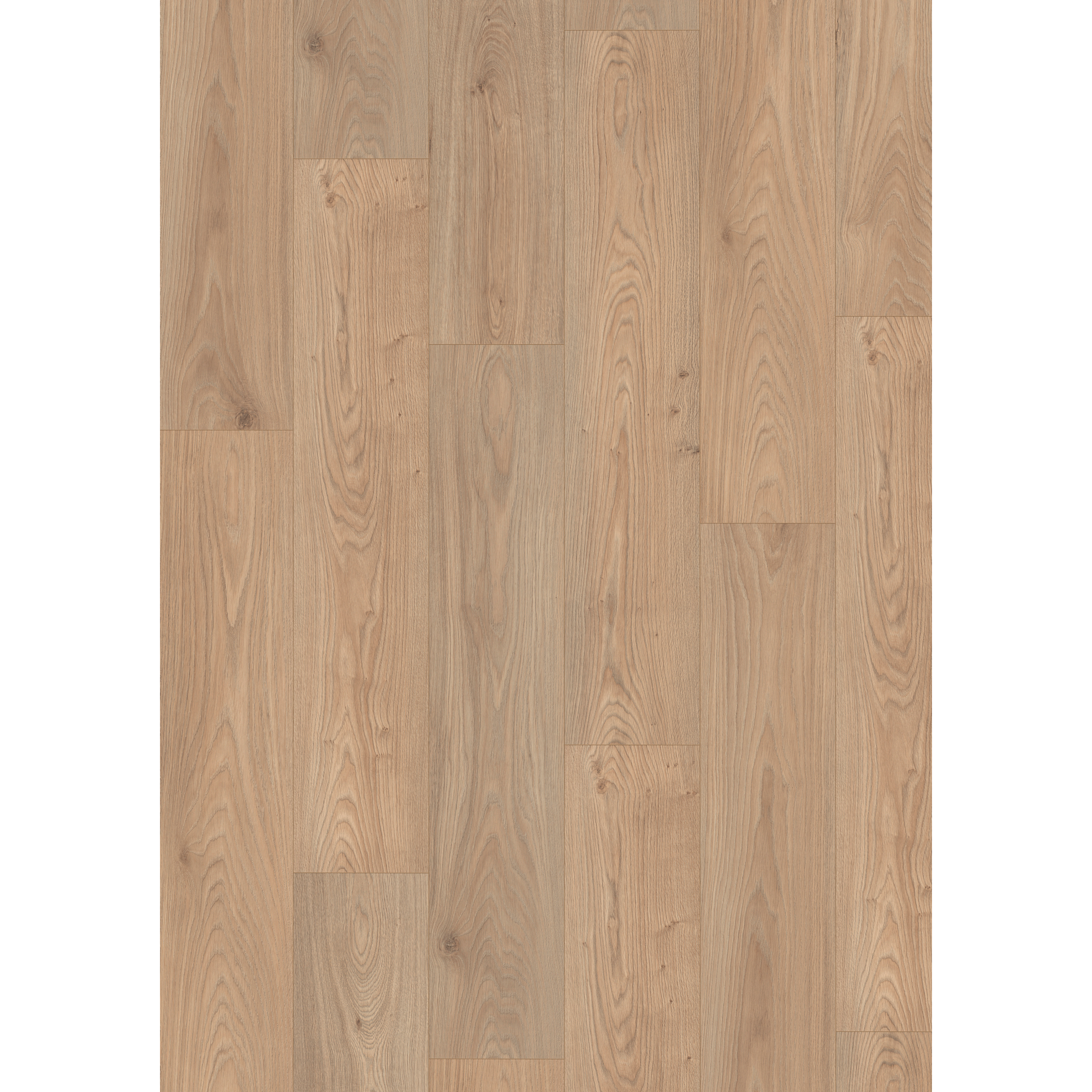 Laminat 'NatureSense' EL2091 Conway Eiche natur 8 mm