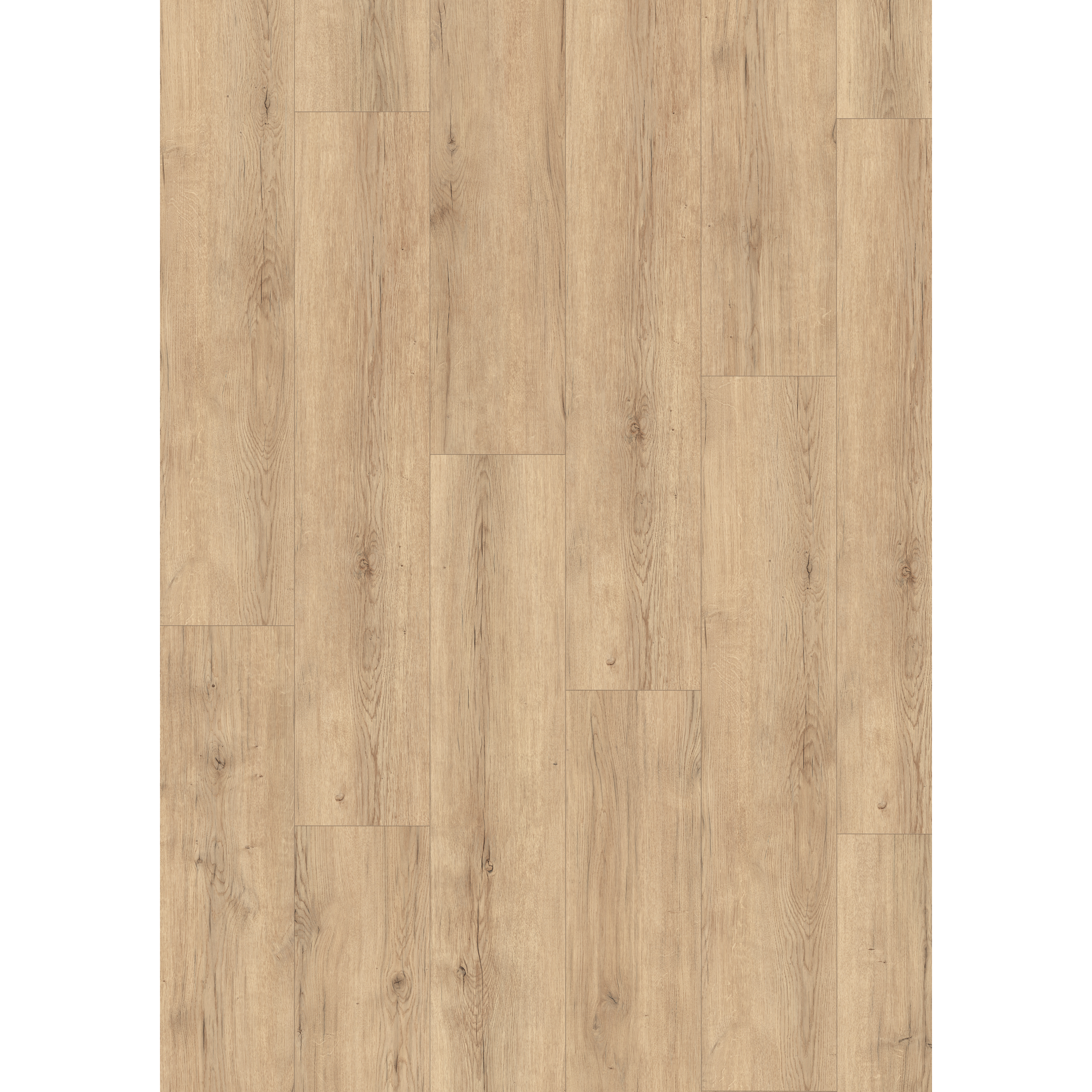 Laminat 'NatureSense' EL2141 Carlin Eiche sand 8 mm