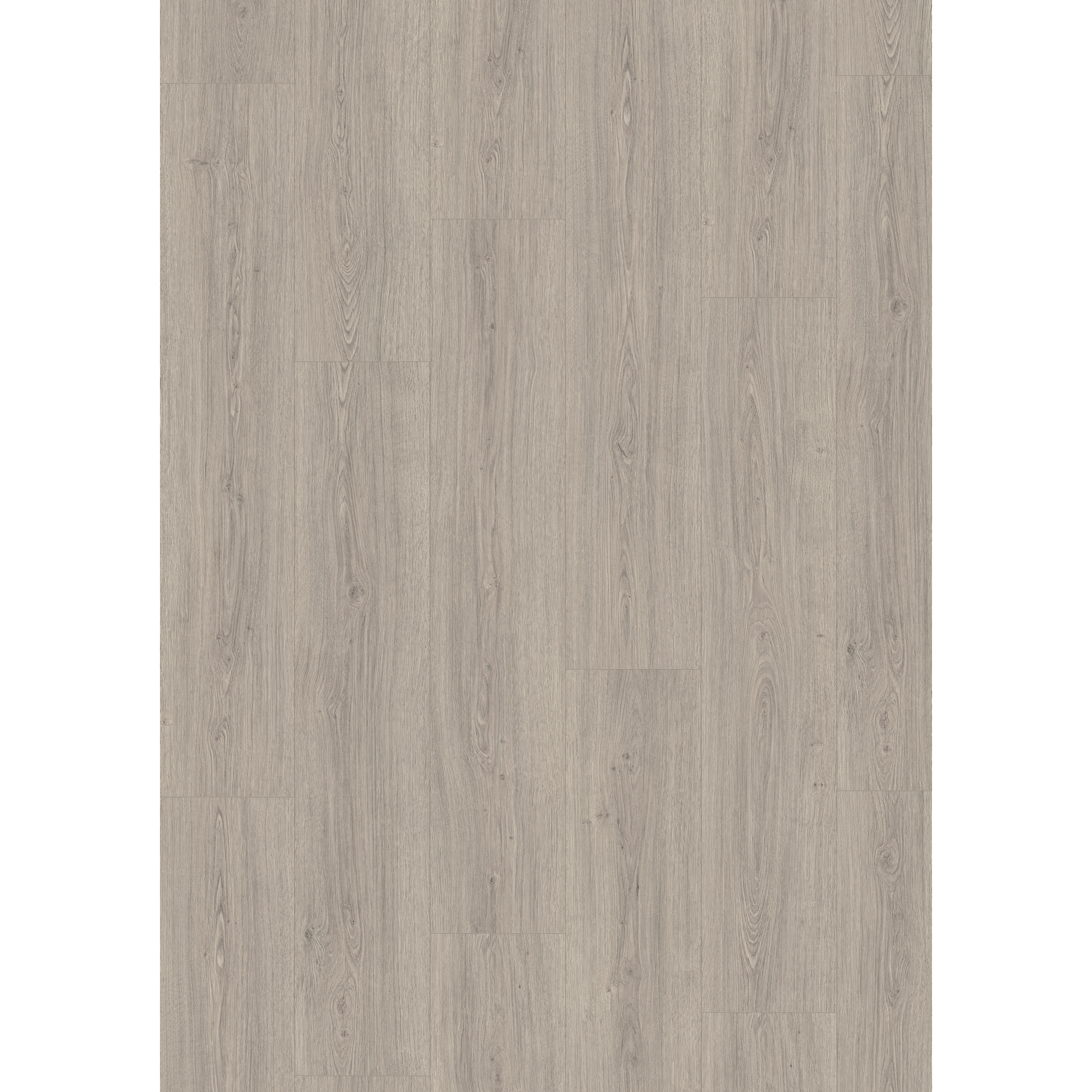 Laminat 'NatureSense Aqua' EL2028 Victoria Eiche hellgrau 8 mm