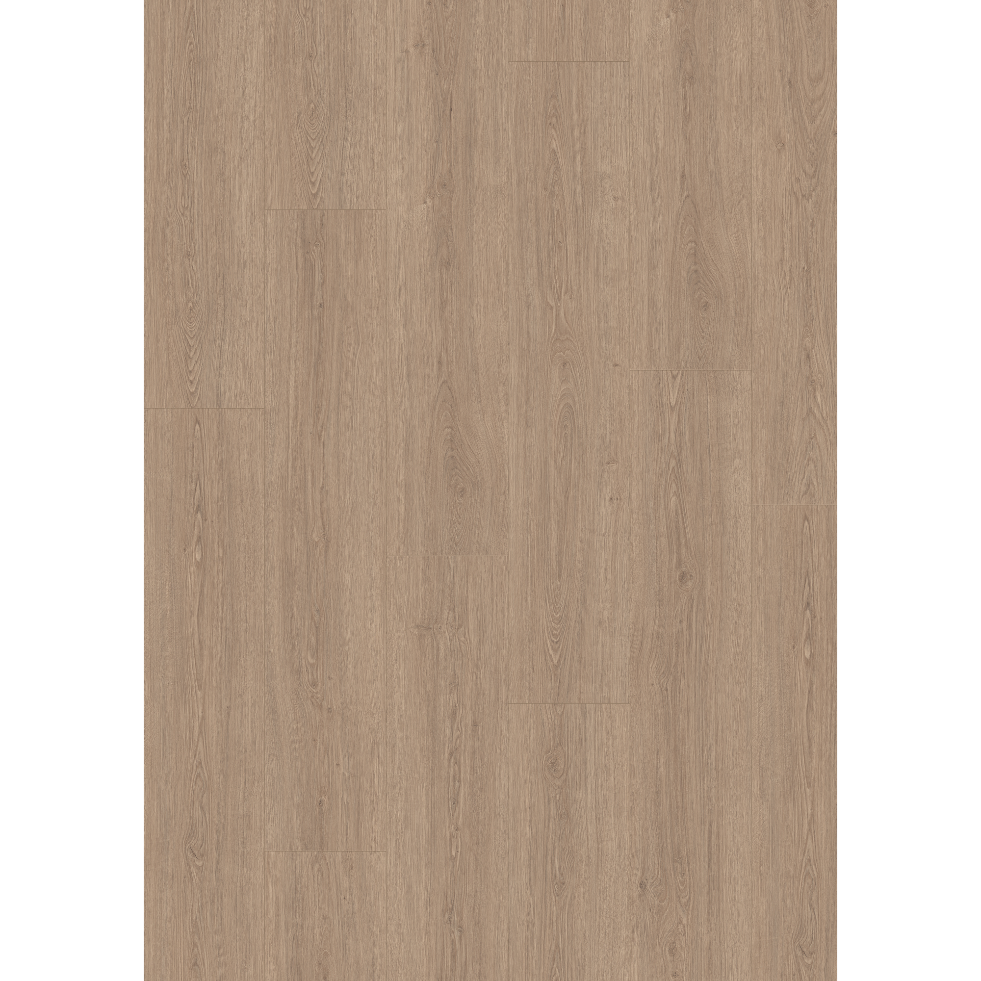 Laminat 'NatureSense Aqua' EL2029 Victoria Eiche braun 8 mm