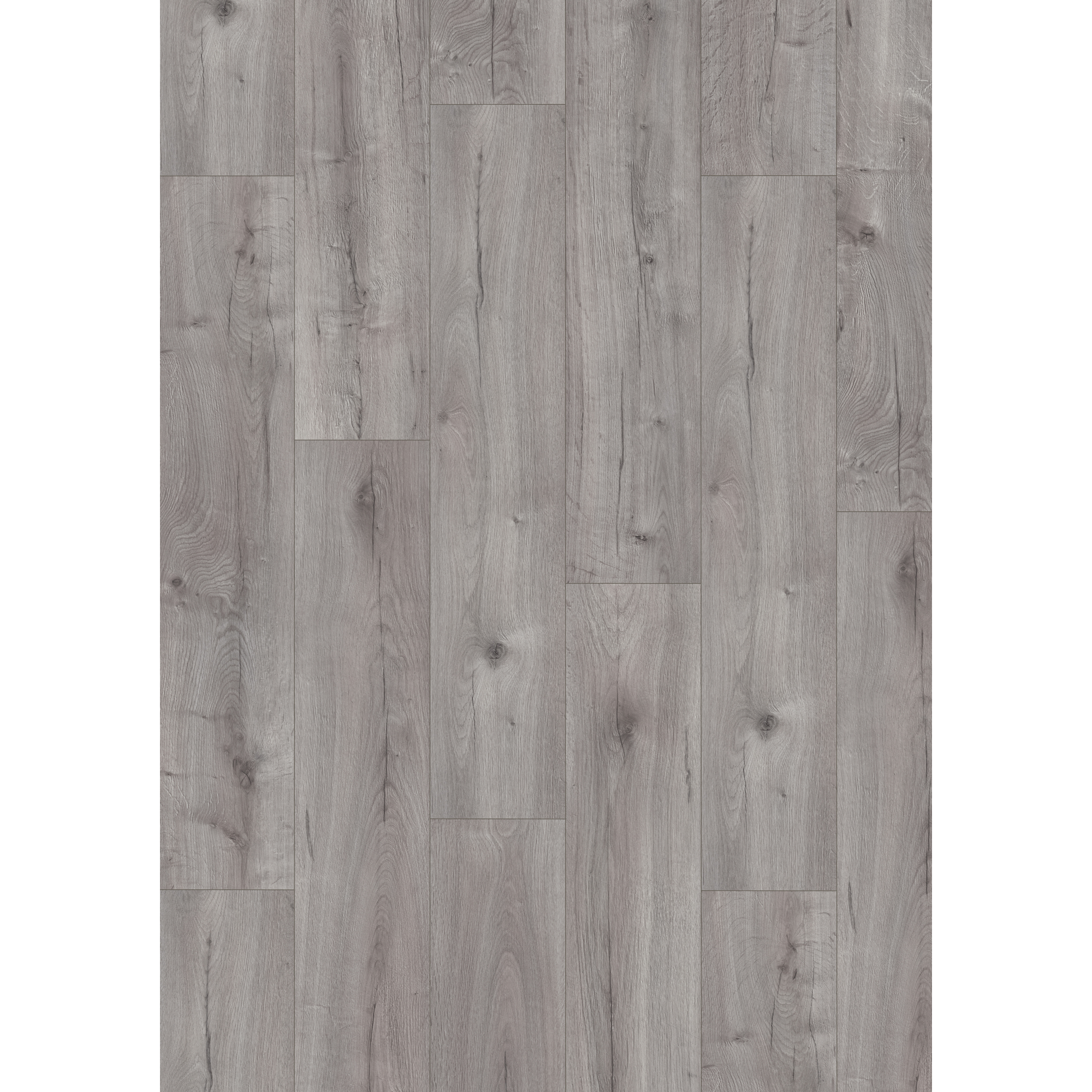 Laminat 'NatureSense Aqua' EL2156 Loja Eiche hellgrau 8 mm