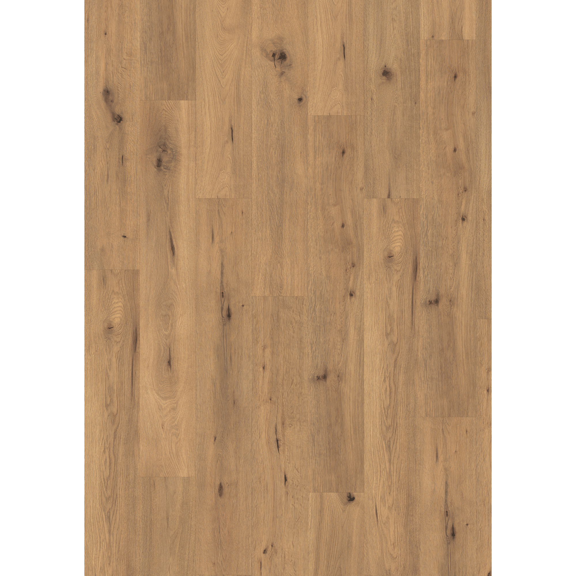 Hybridboden 'Aquadura' EDF200 Wildeiche natur 7,5 mm