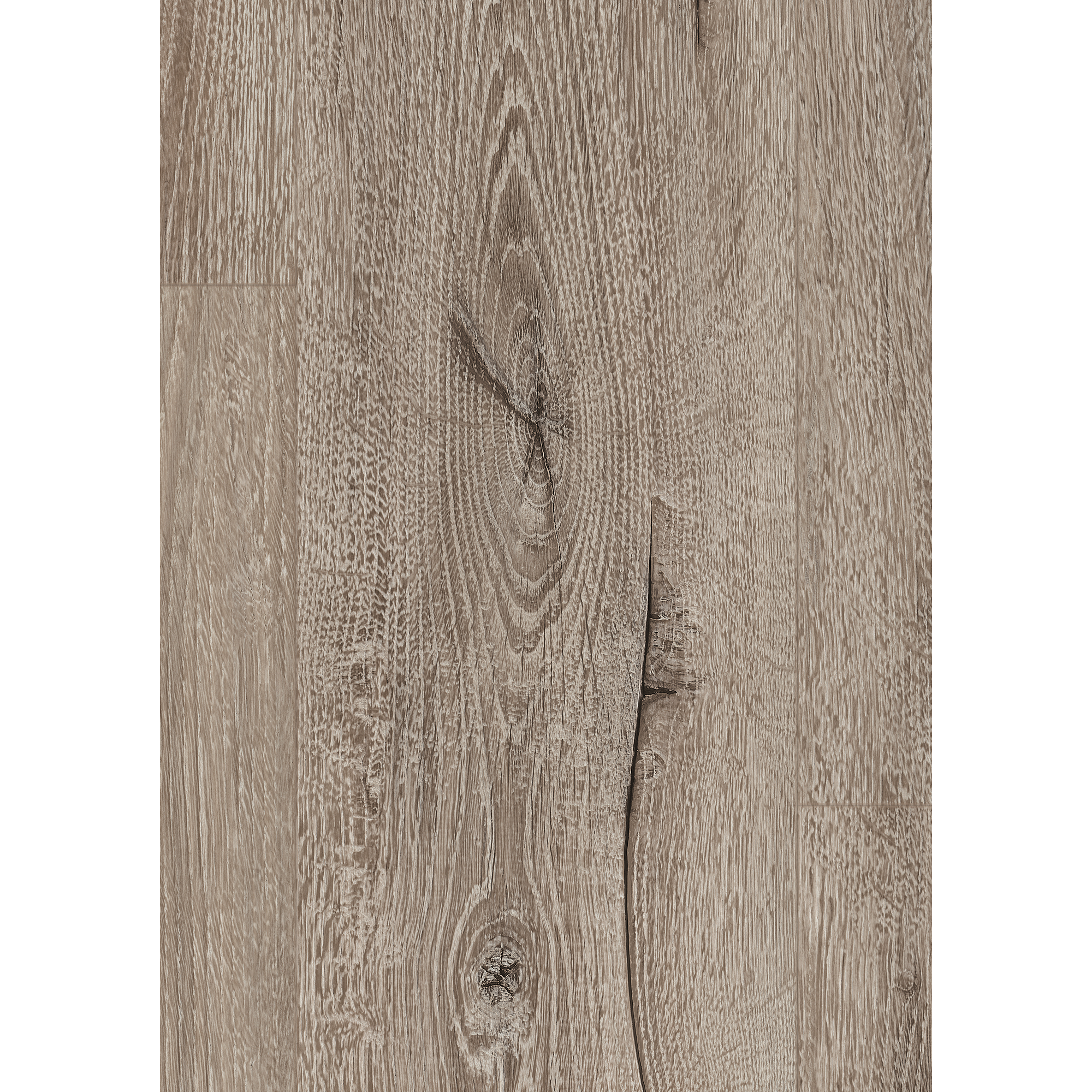 Hybridboden 'Aquadura' EDF204 Panora Eiche grau 7,5 mm